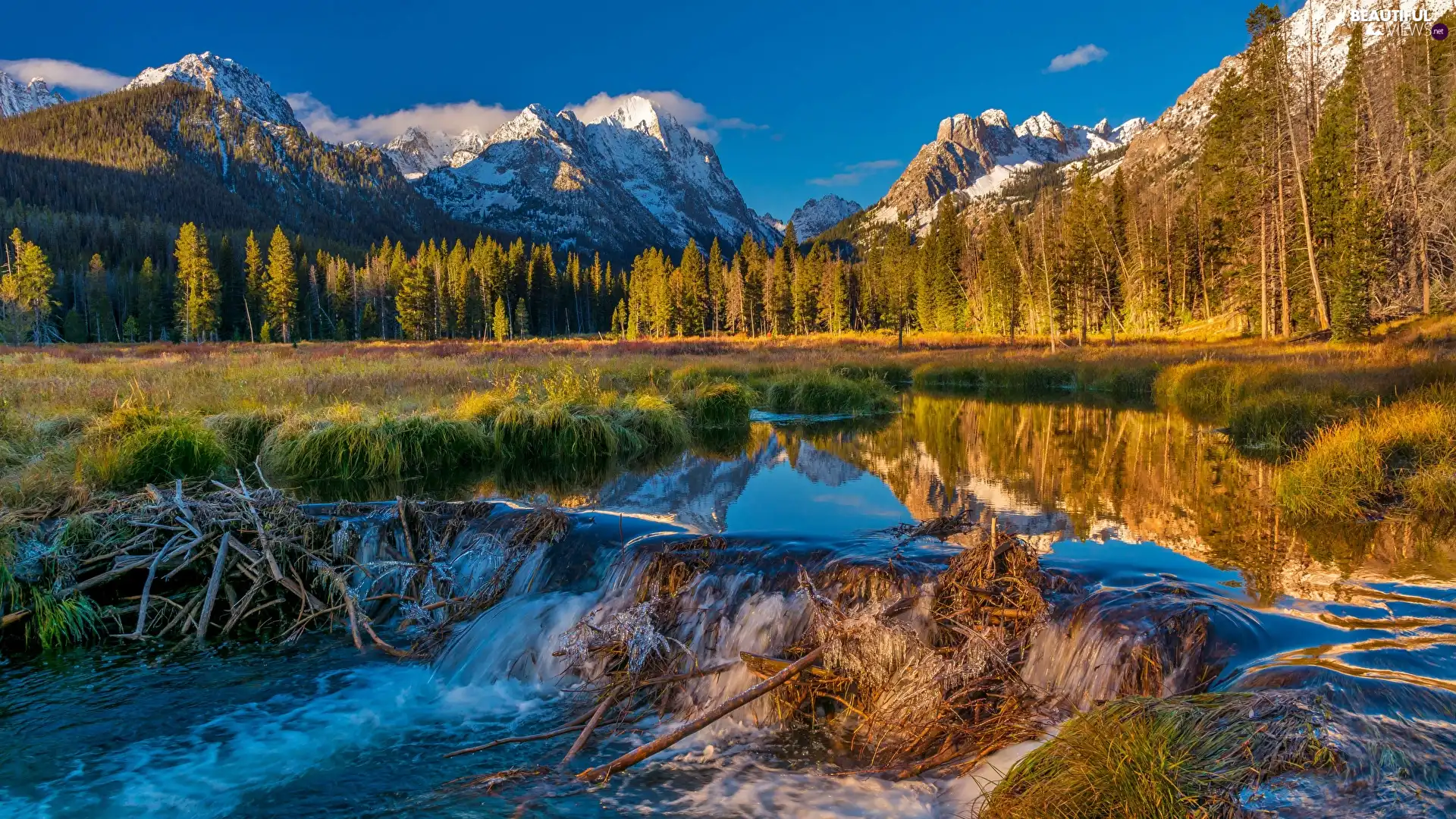 trees, Mountains, forest, autumn, viewes, River