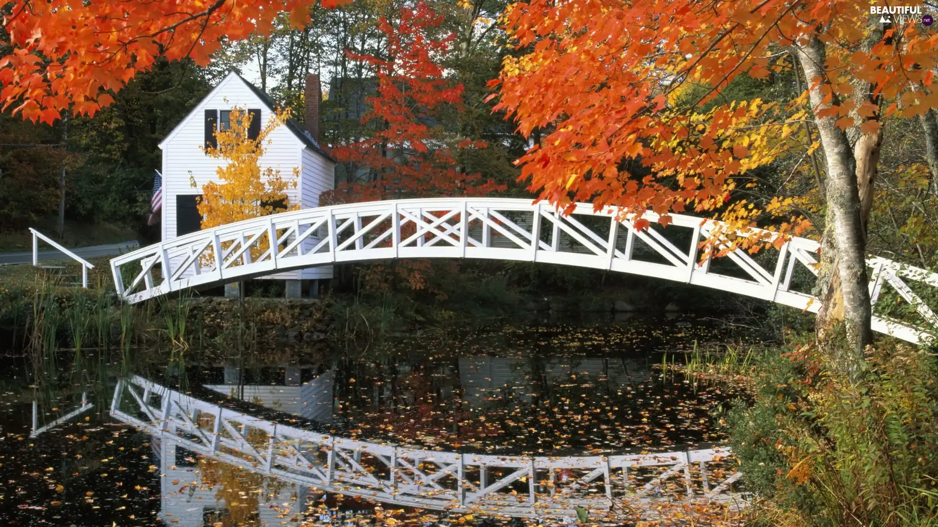 River, Home, autumn, bridge