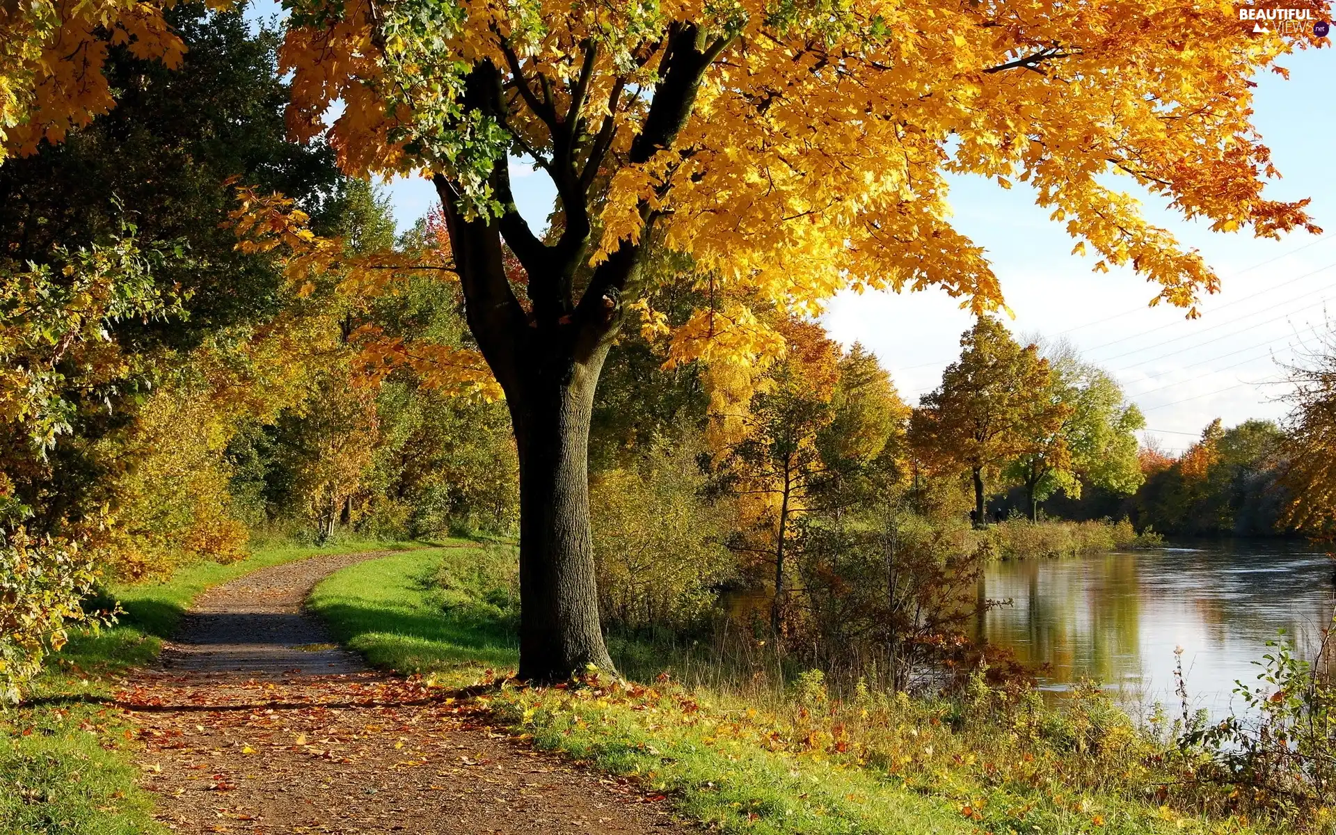 River, Leaf, autumn, Way