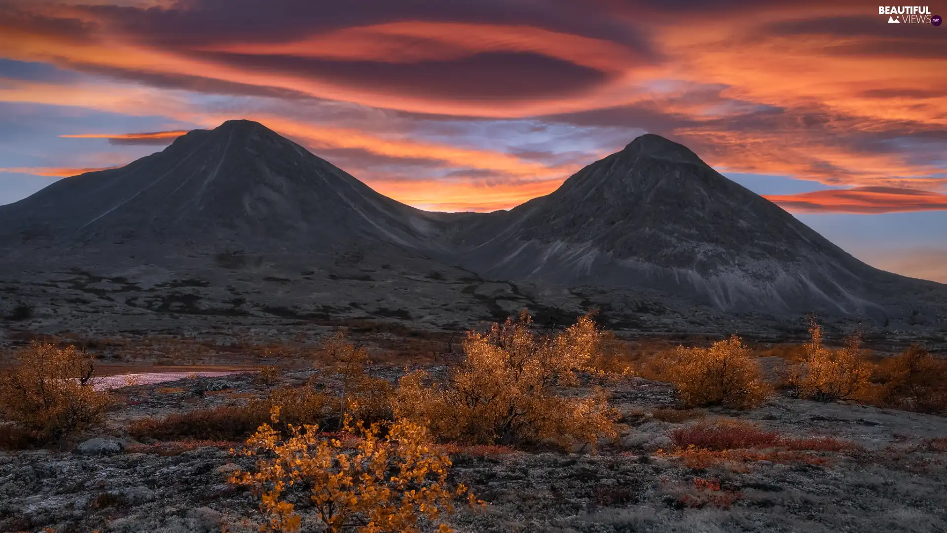 Bush, Mountains, Rondane National Park, Norway, clouds, autumn