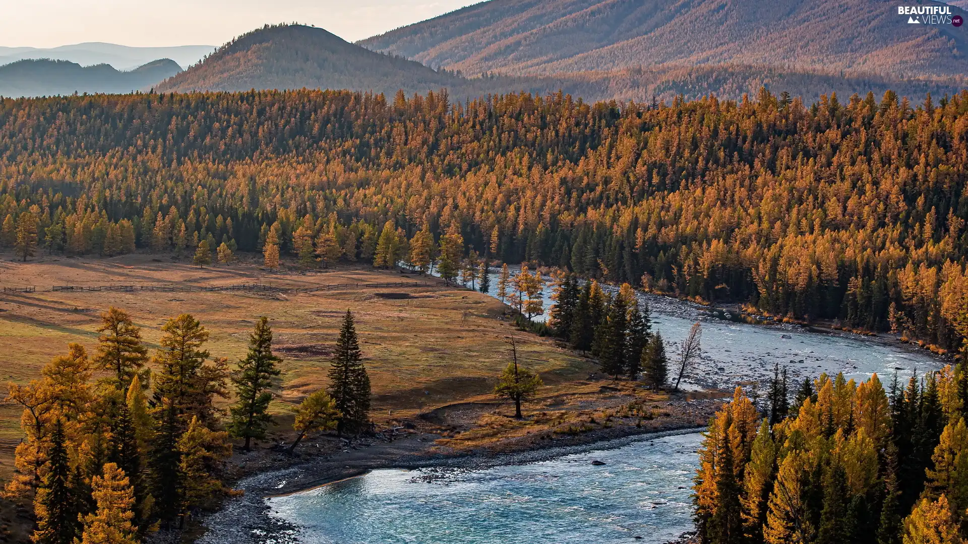 woods, trees, Russia, viewes, River, Altai, Mountains, autumn