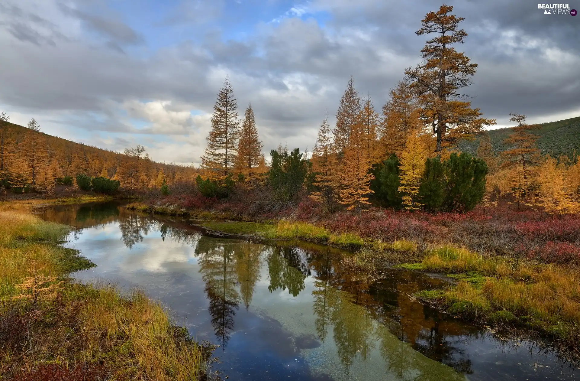 autumn, Mountains, VEGETATION, trees, Kolyma River, Magadan Circuit, Russia, viewes