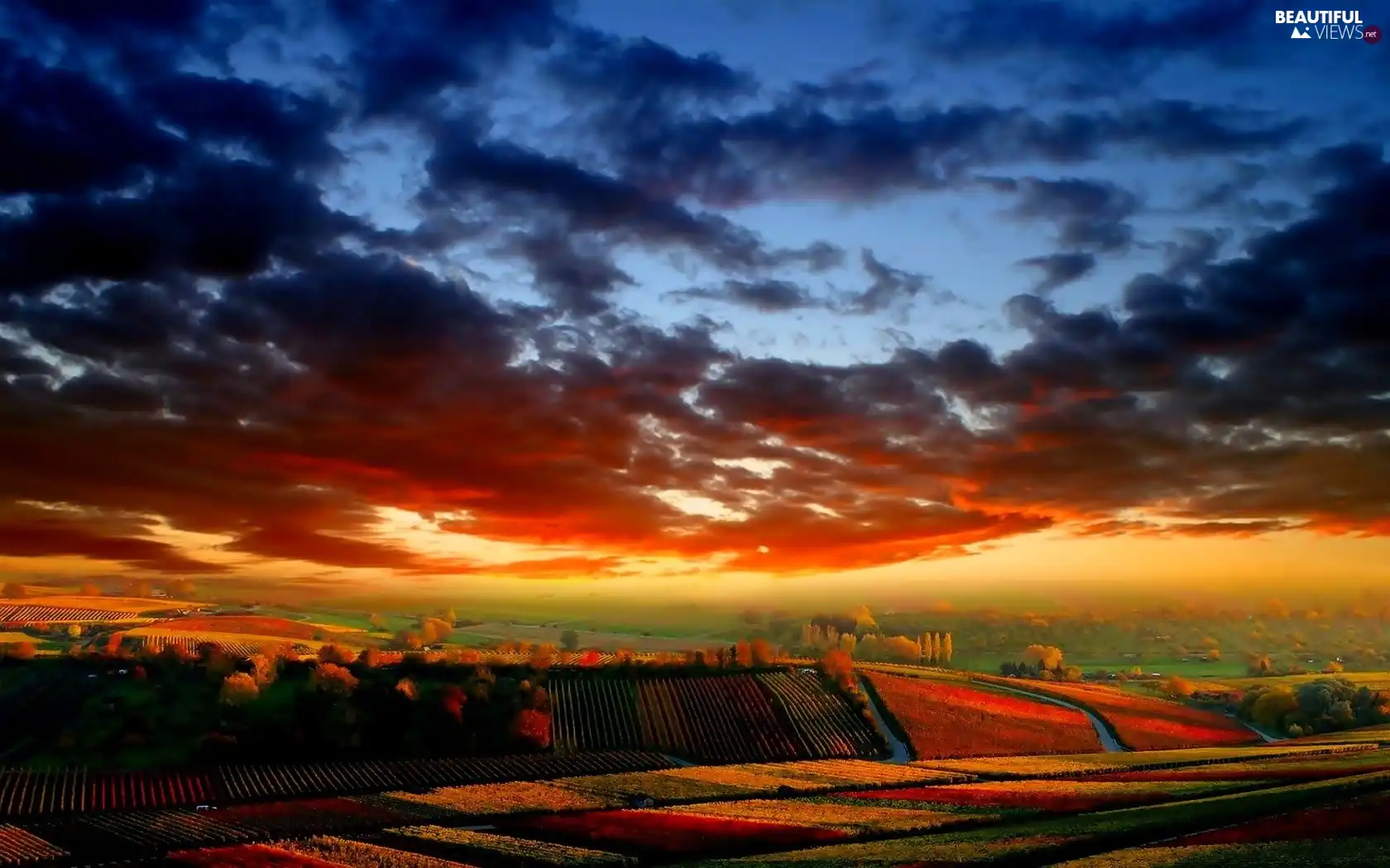 Sky, field, autumn, clouds