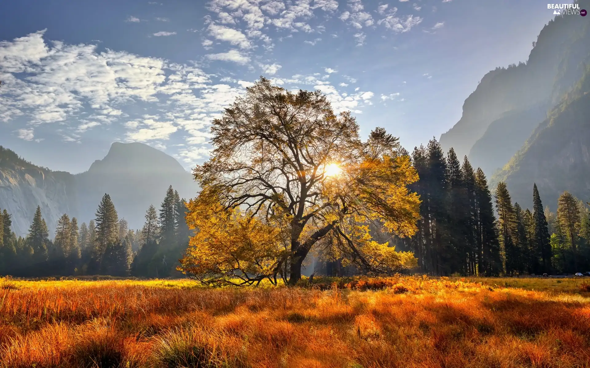 Yellowed, car in the meadow, grass, Mountains, autumn, rays of the Sun, trees, viewes, Fog