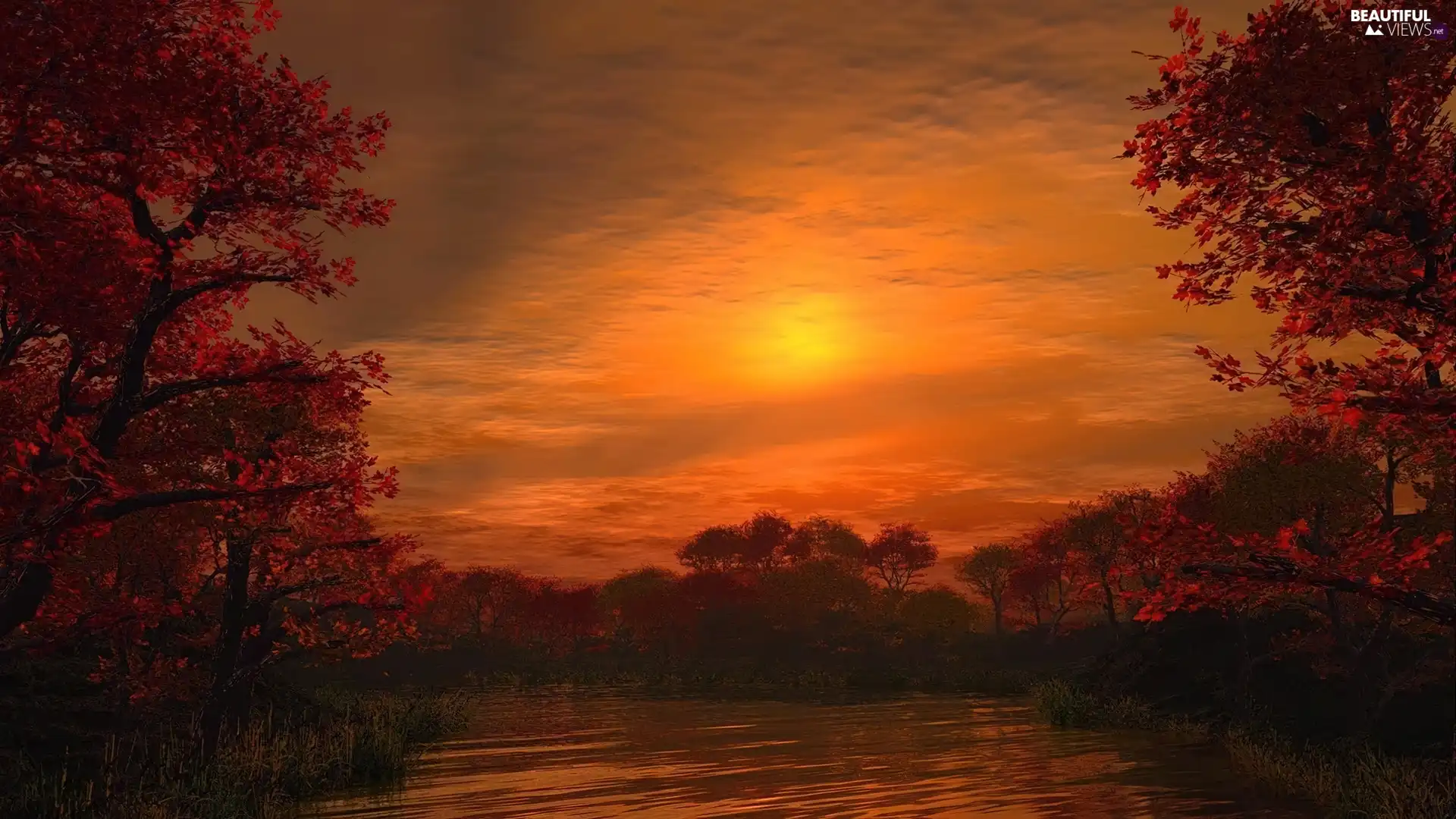 Great Sunsets, viewes, autumn, trees - Beautiful views wallpapers: 1600x900