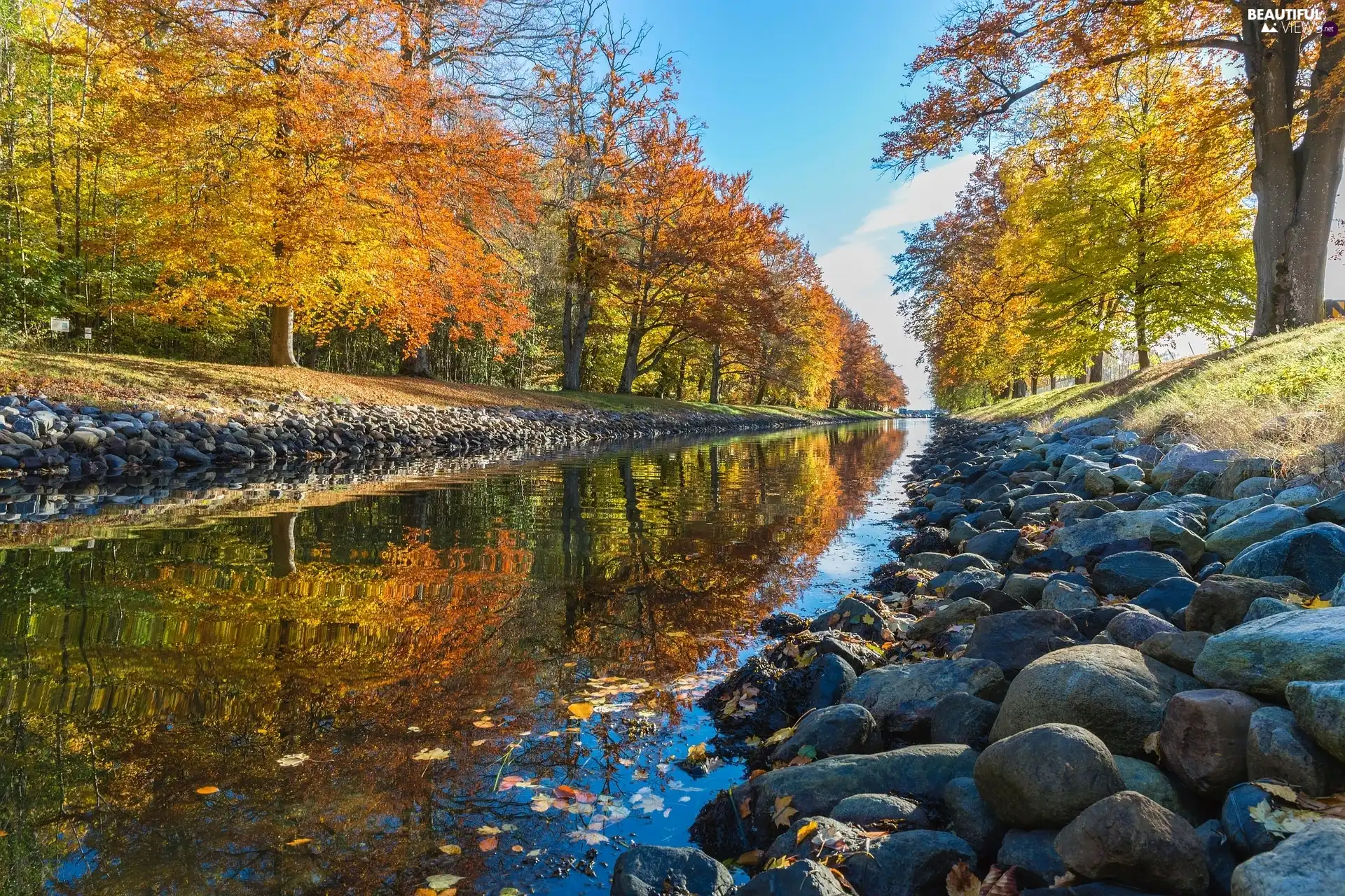 Stones, autumn, trees, viewes, River