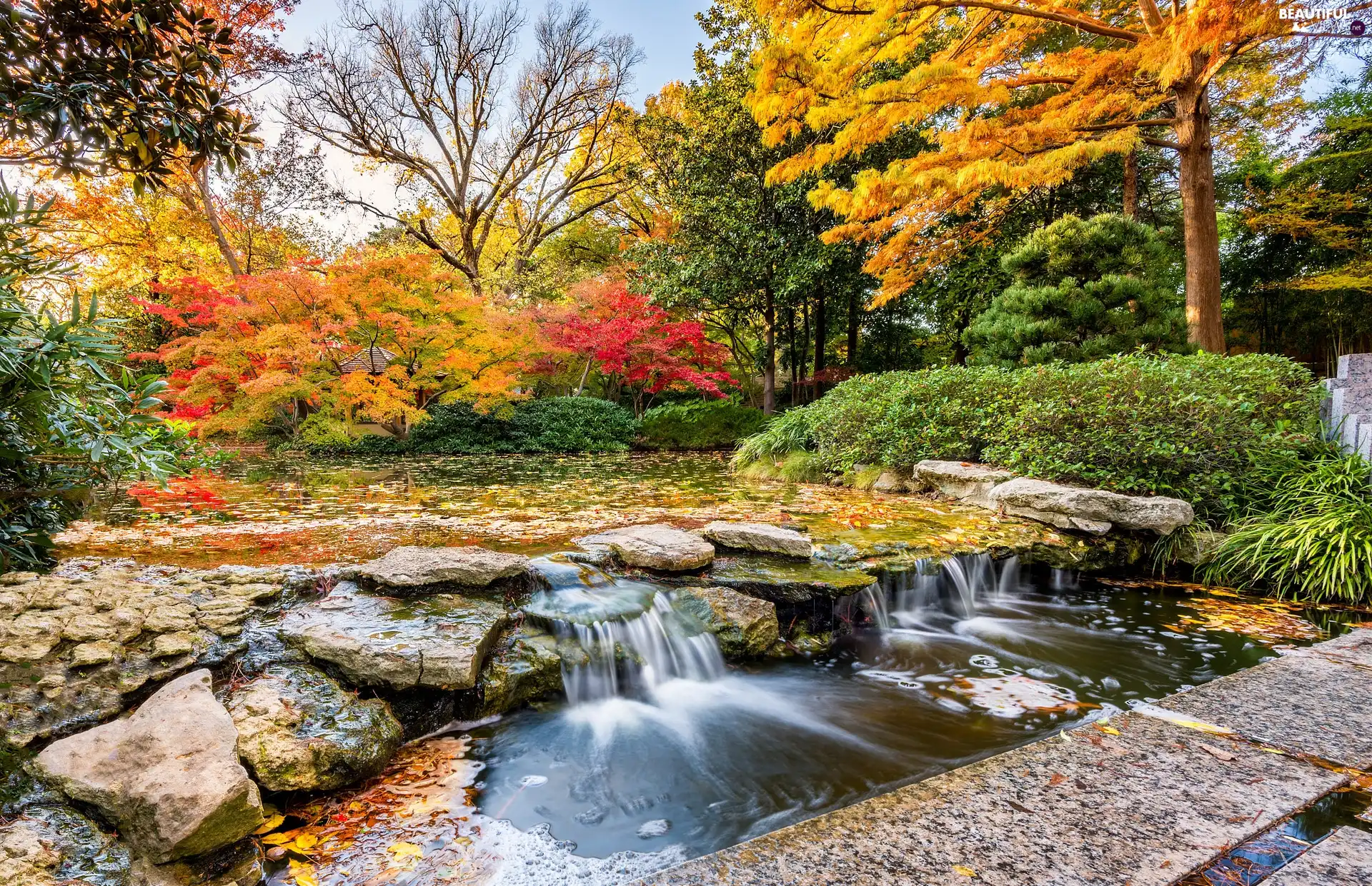 viewes, Park, River, autumn, VEGETATION, trees