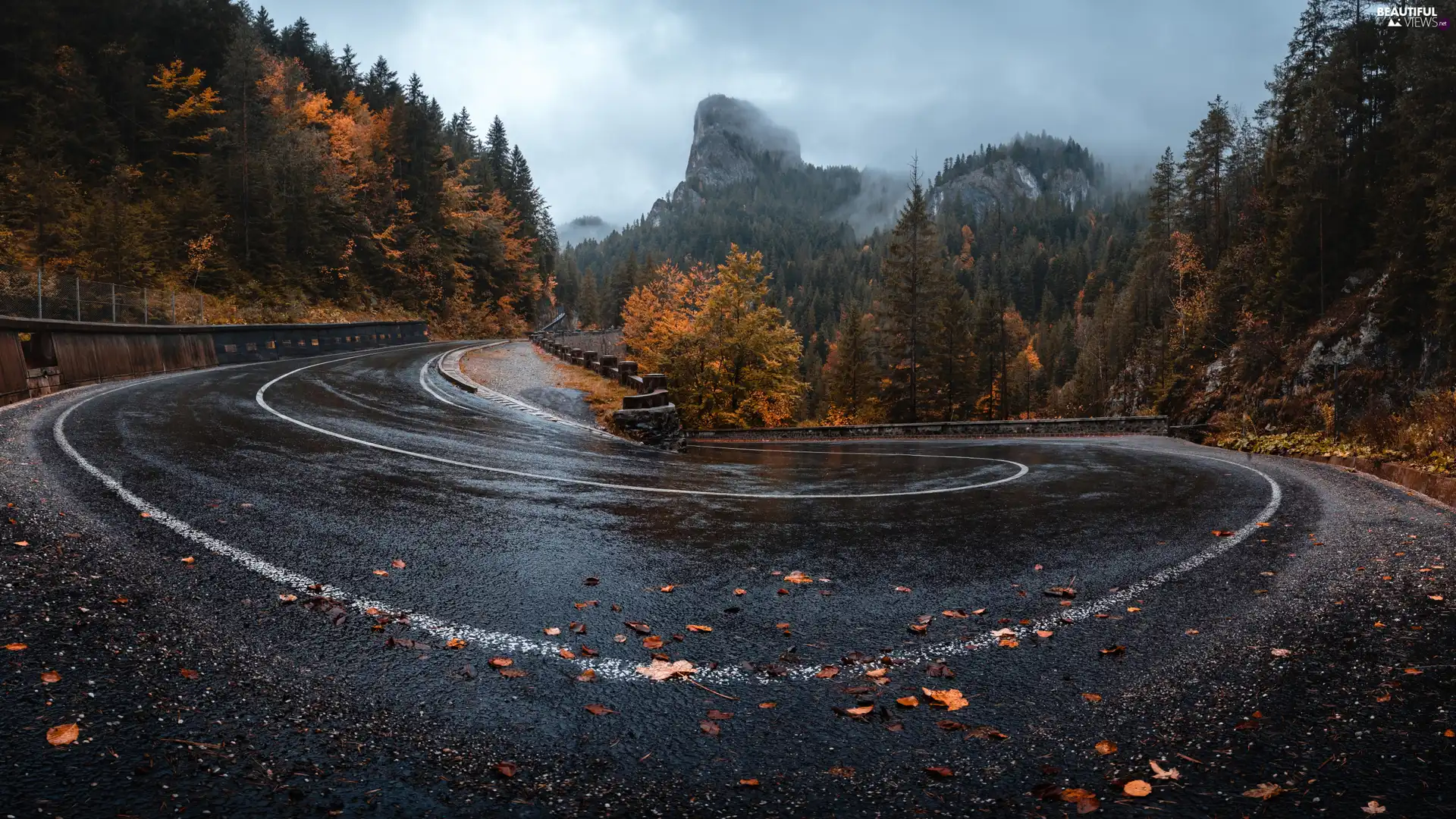 trees, Way, Mountains, autumn, viewes, turn