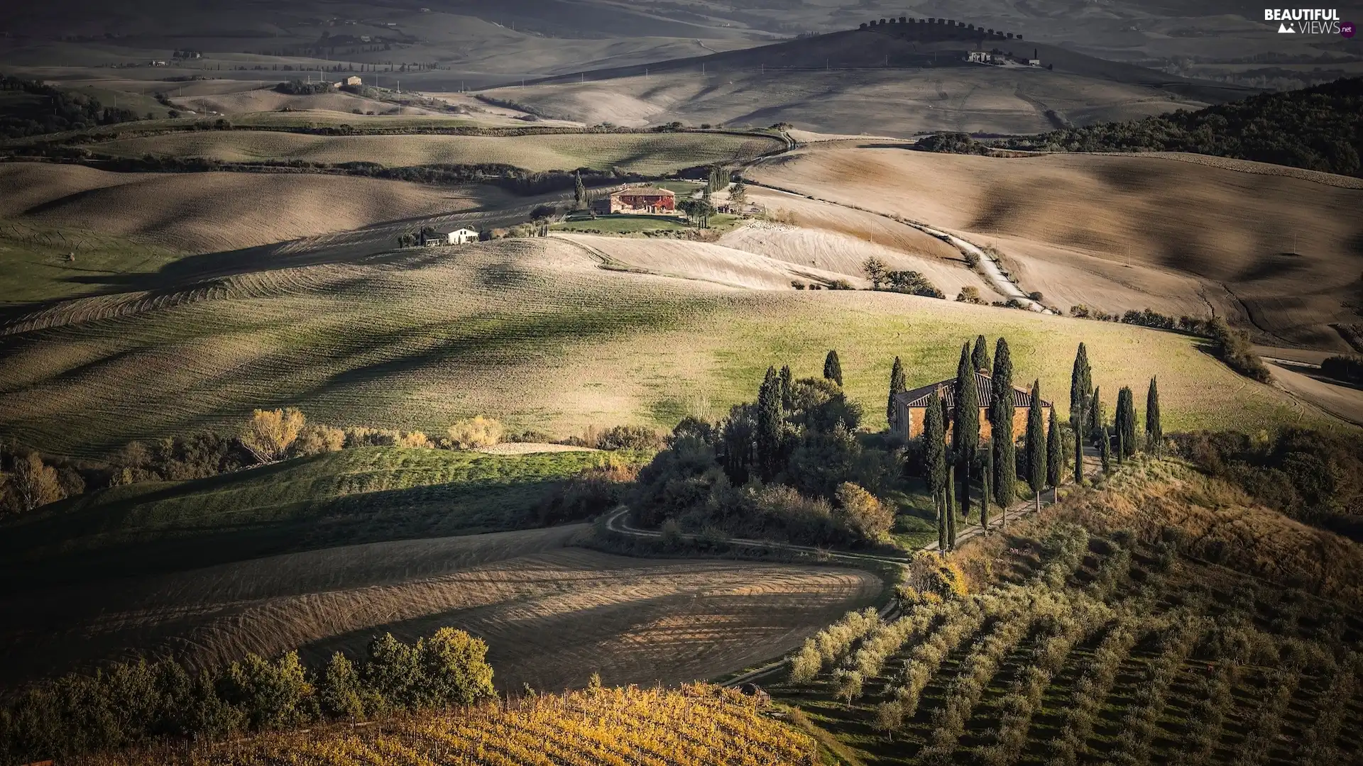 autumn, The Hills, vineyards, house, field, Tuscany, Italy, cypresses