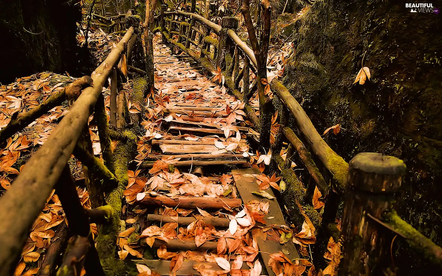 View, Leaf, autumn, Stairs