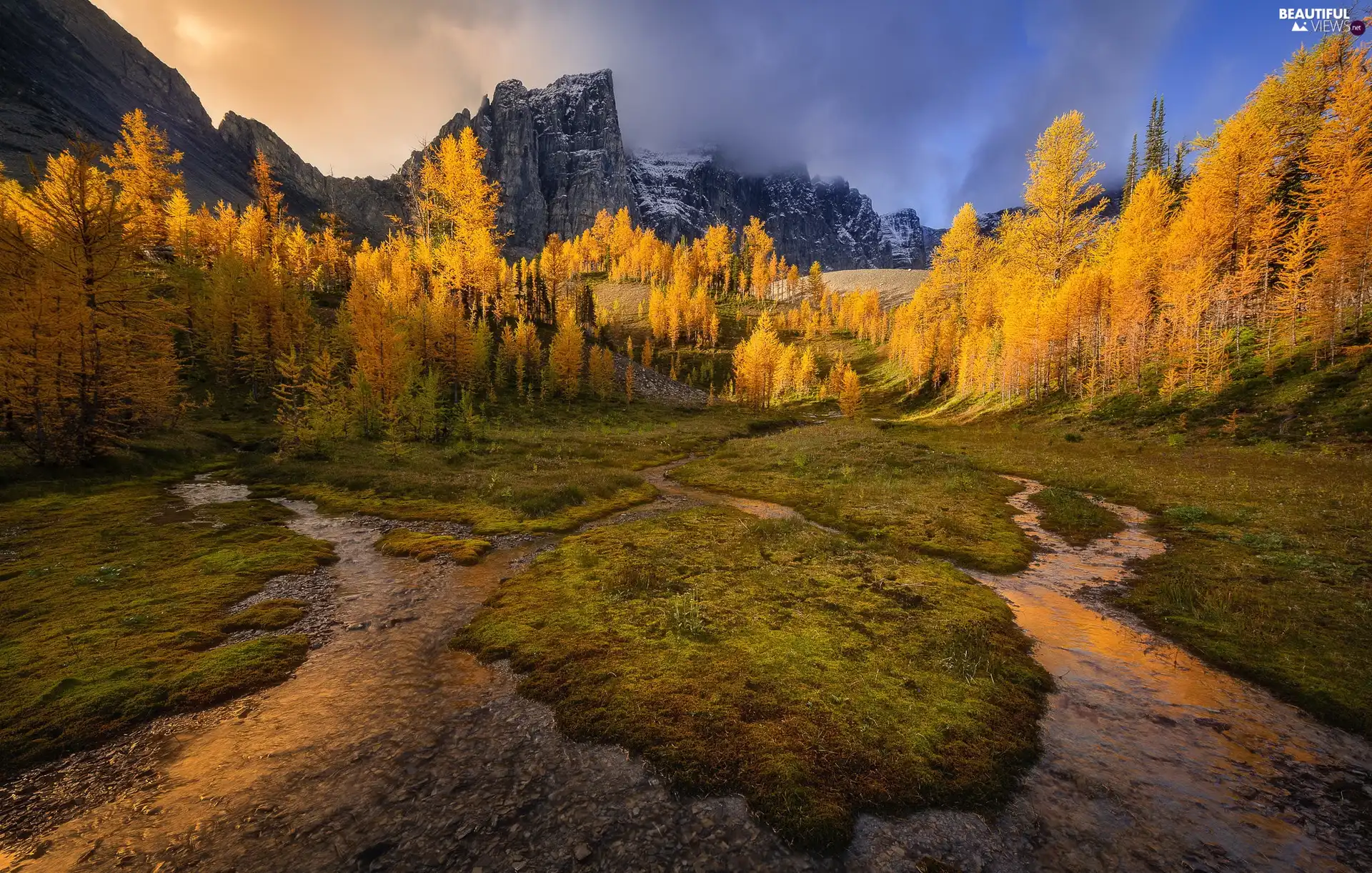 Mountains, trees, River, autumn, stream, viewes