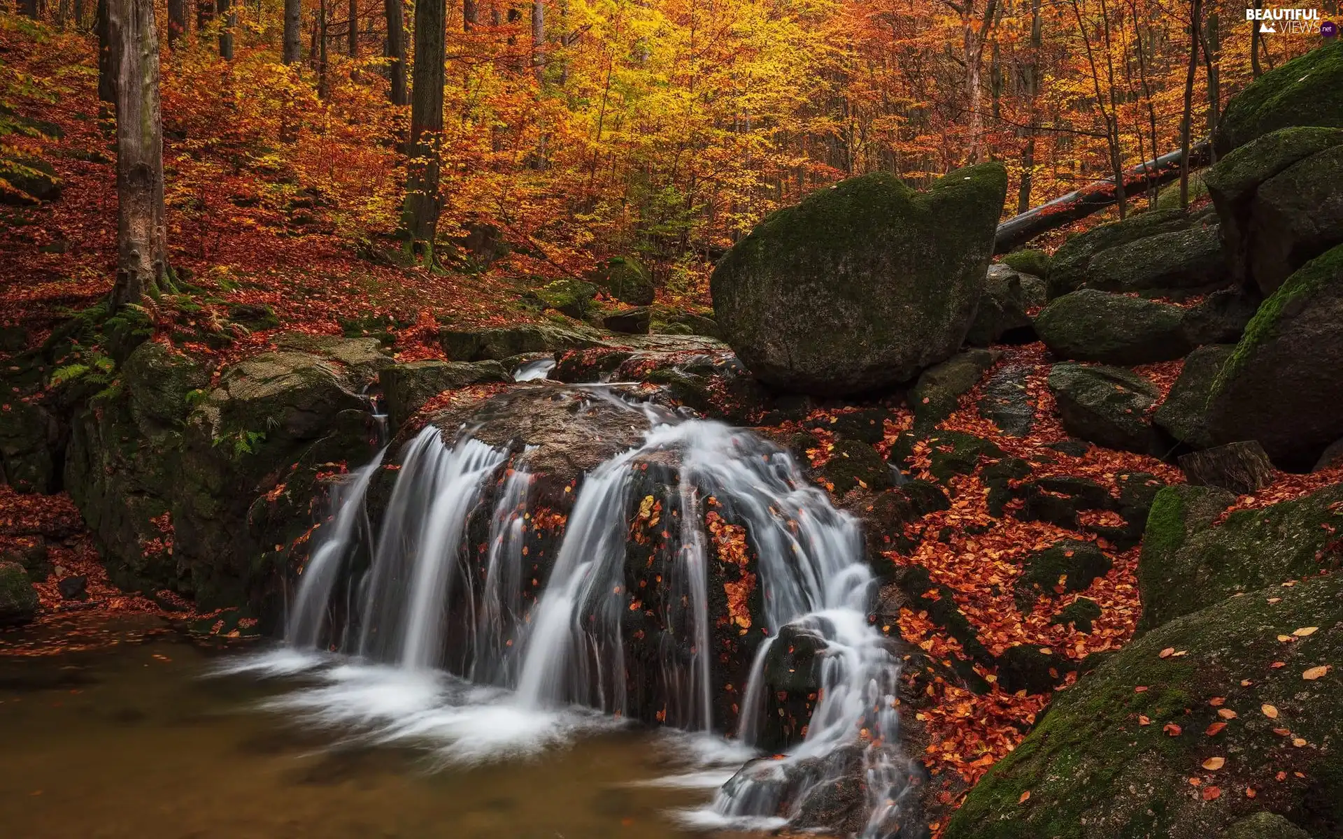 autumn, forest, River, River Threshold, Stones, Leaf, trees, viewes, Rocks
