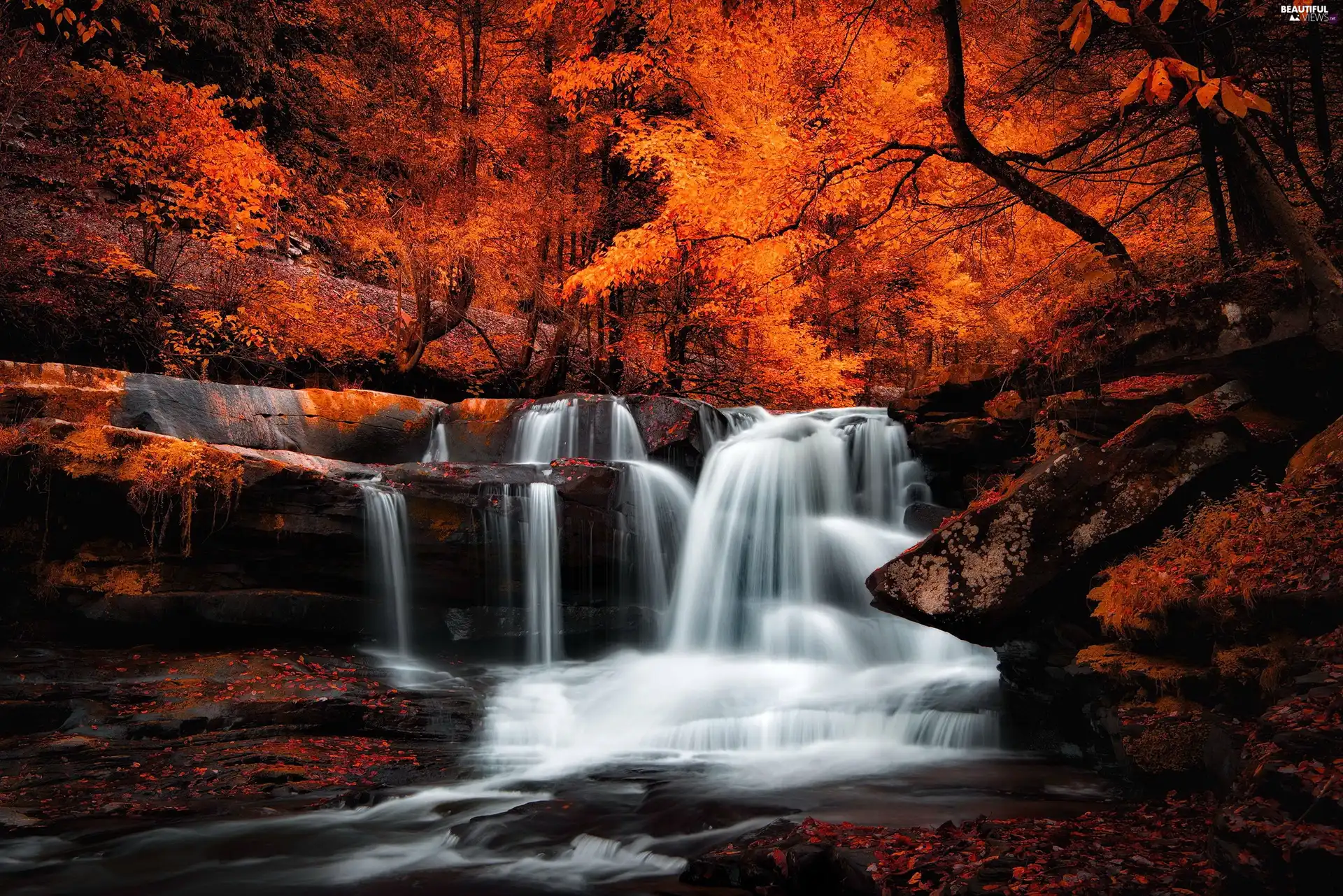 waterfall, autumn