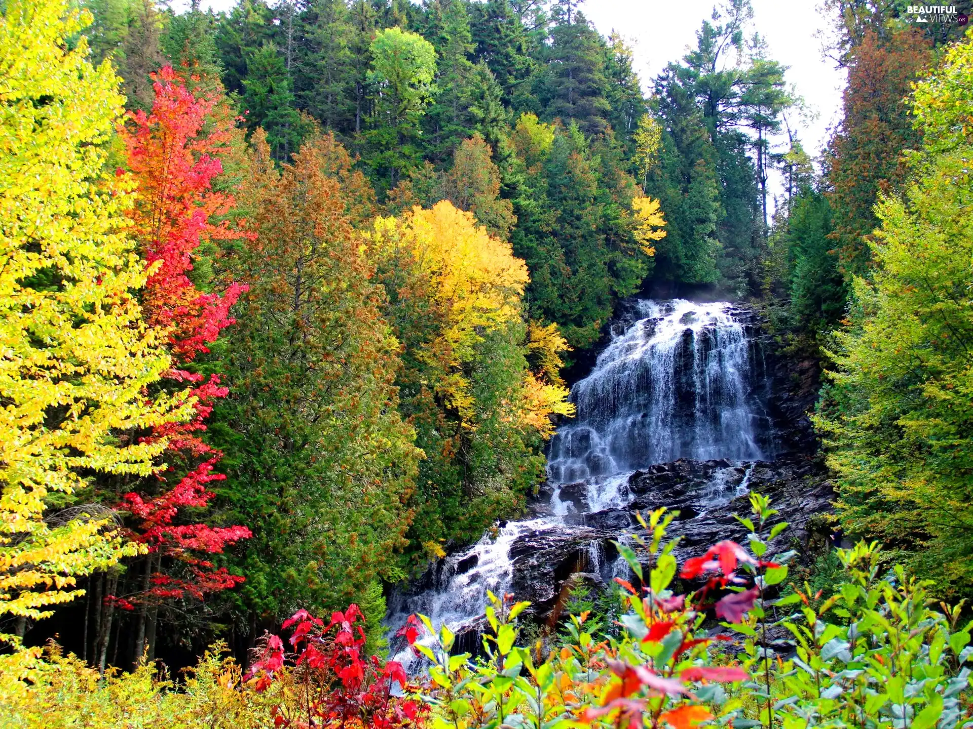 waterfall, viewes, autumn, trees