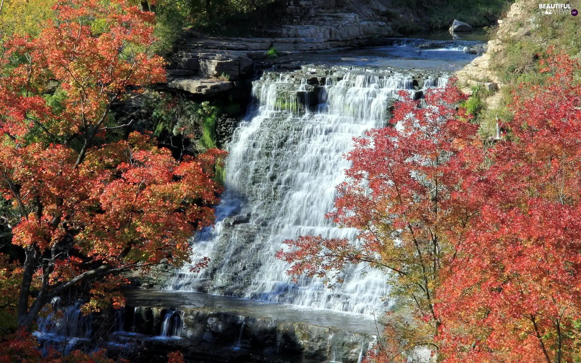 waterfall, autumn