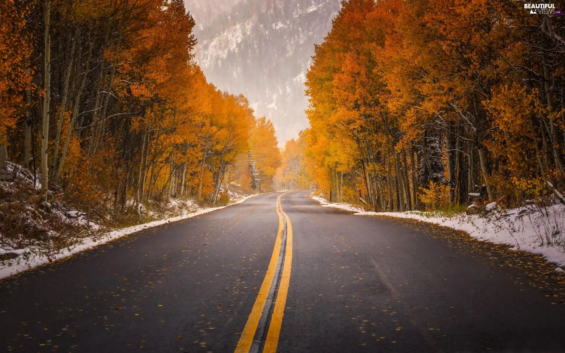 Way, Mountains, autumn, woods