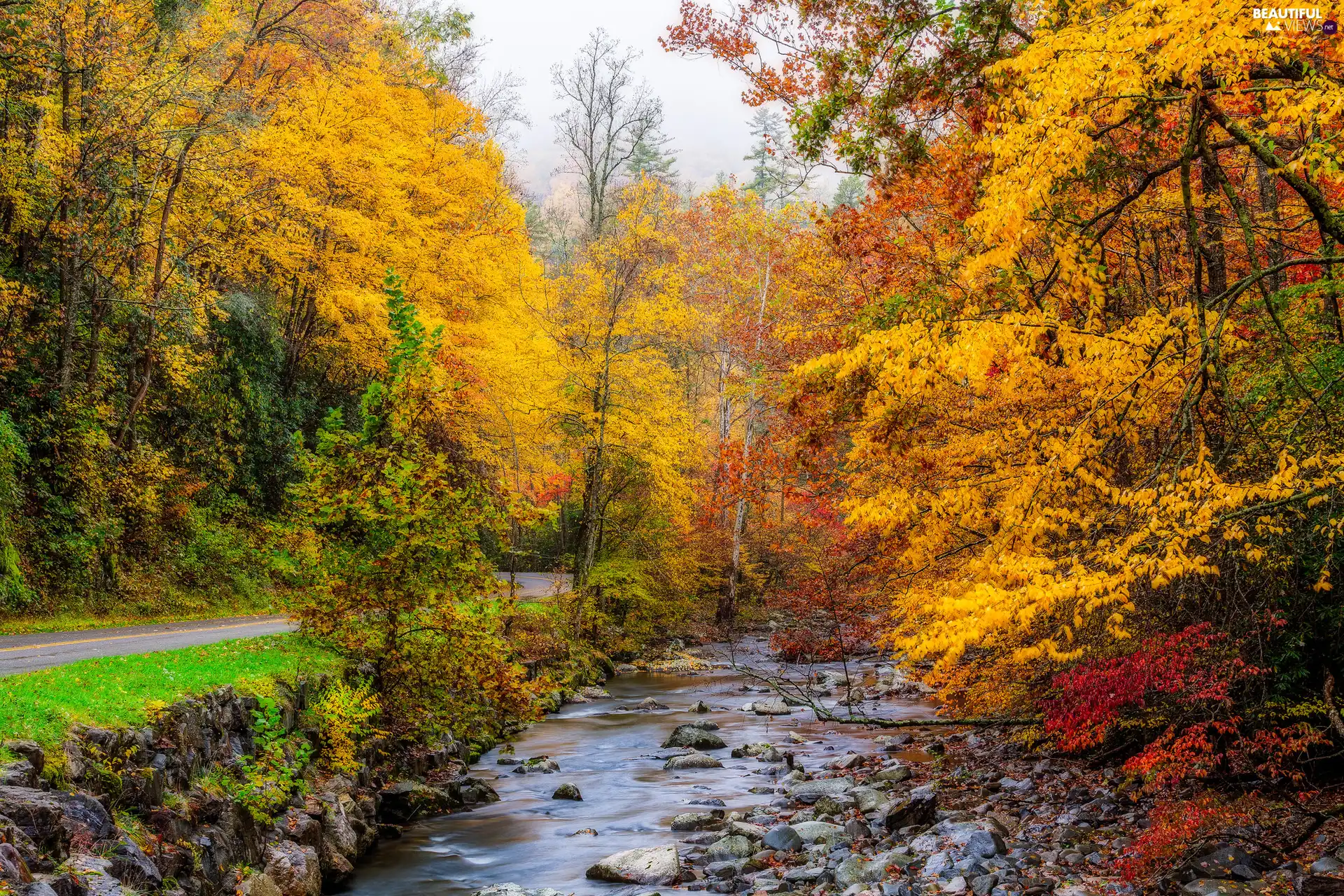 color, River, viewes, autumn, trees, Way