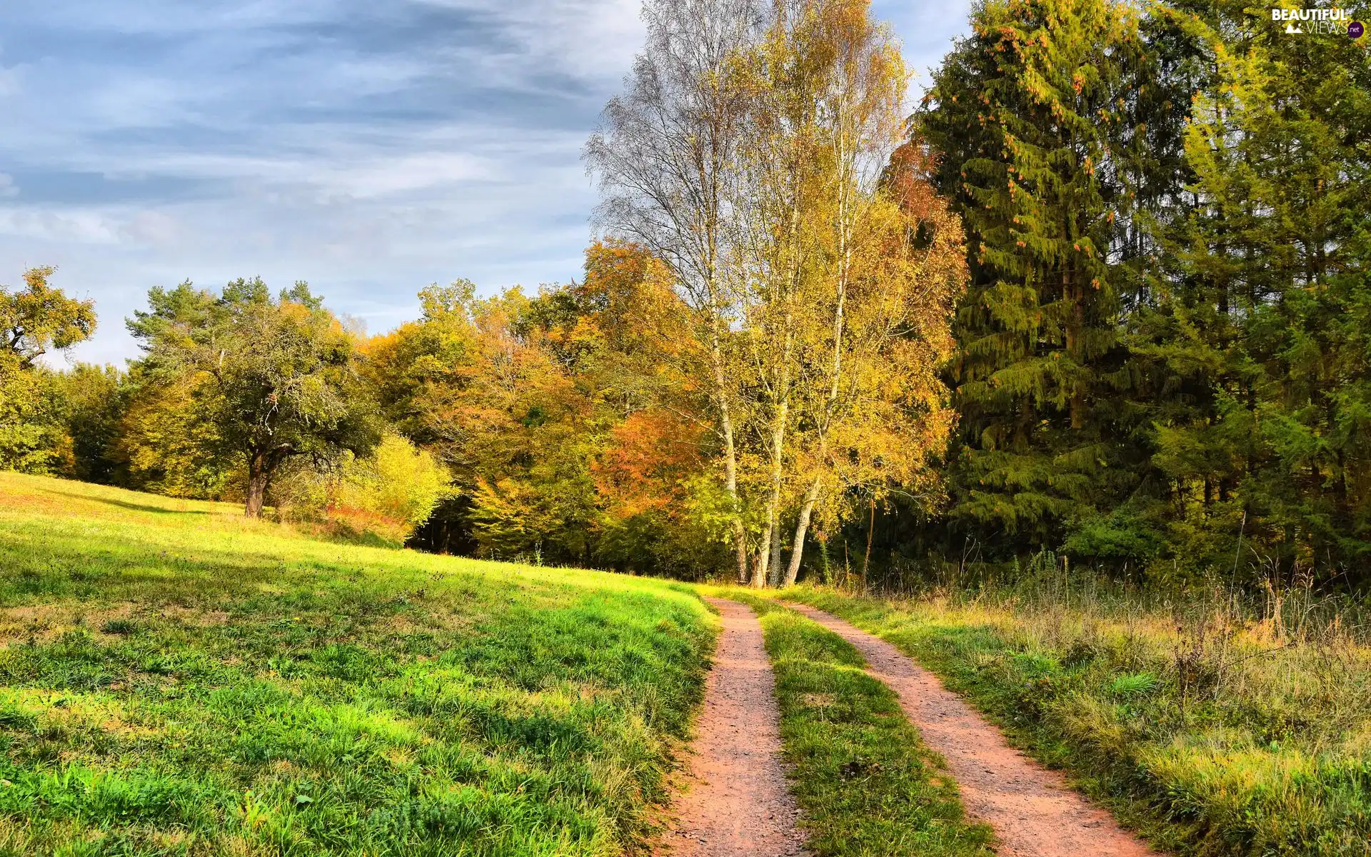 Path, Meadow, viewes, autumn, trees, Way