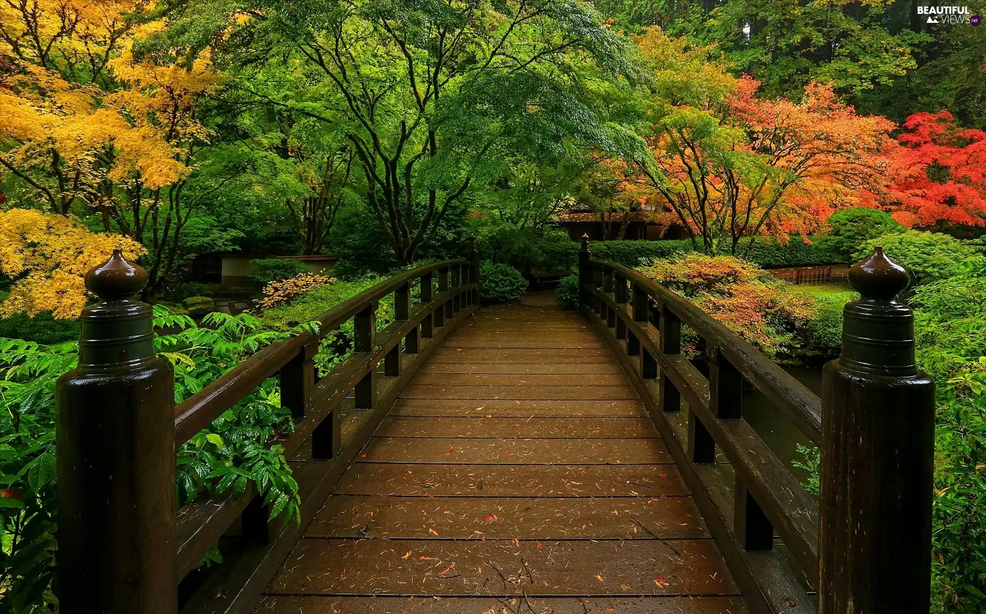 wooden, Park, autumn, bridge