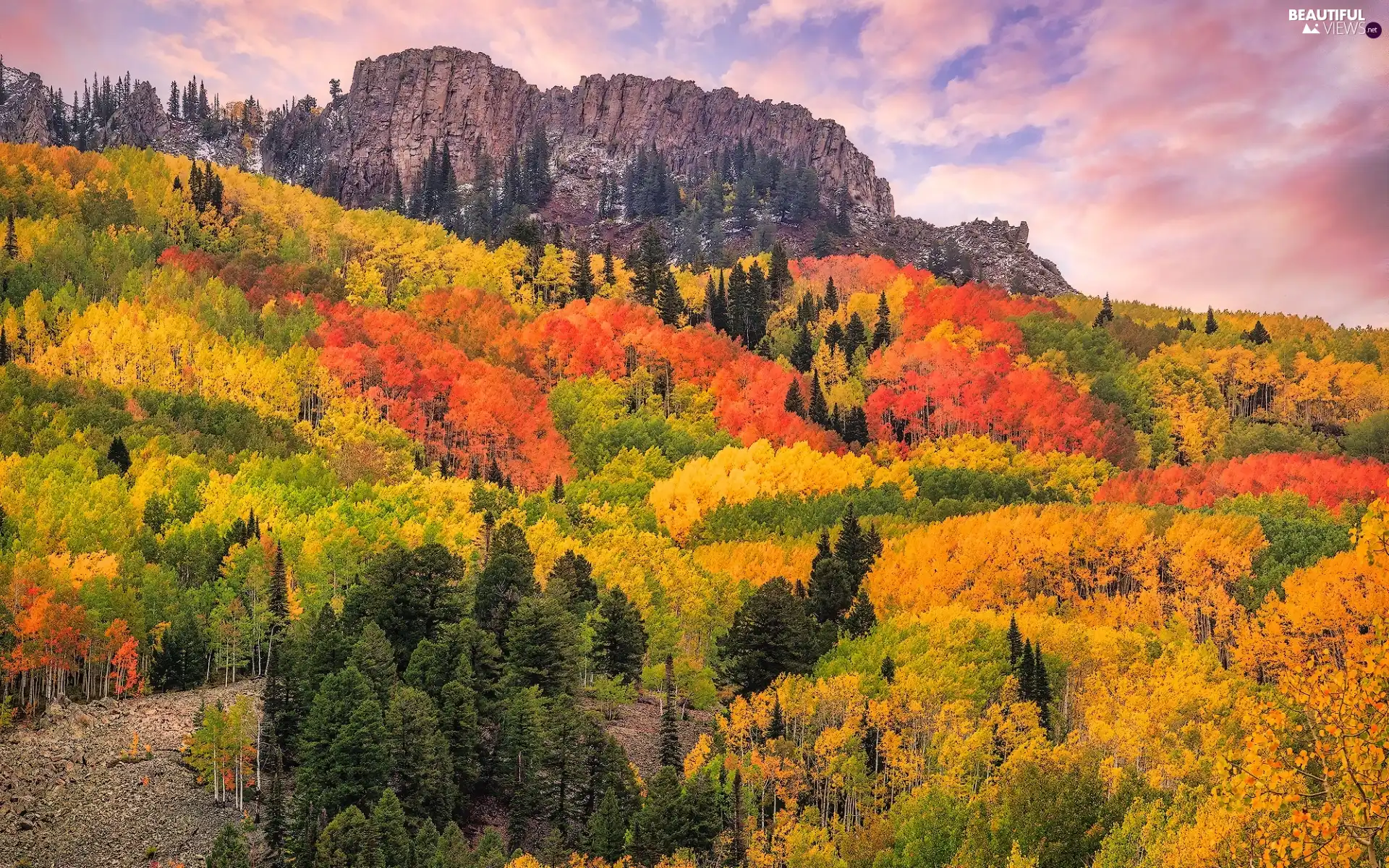 trees, Mountains, clouds, autumn, viewes, woods