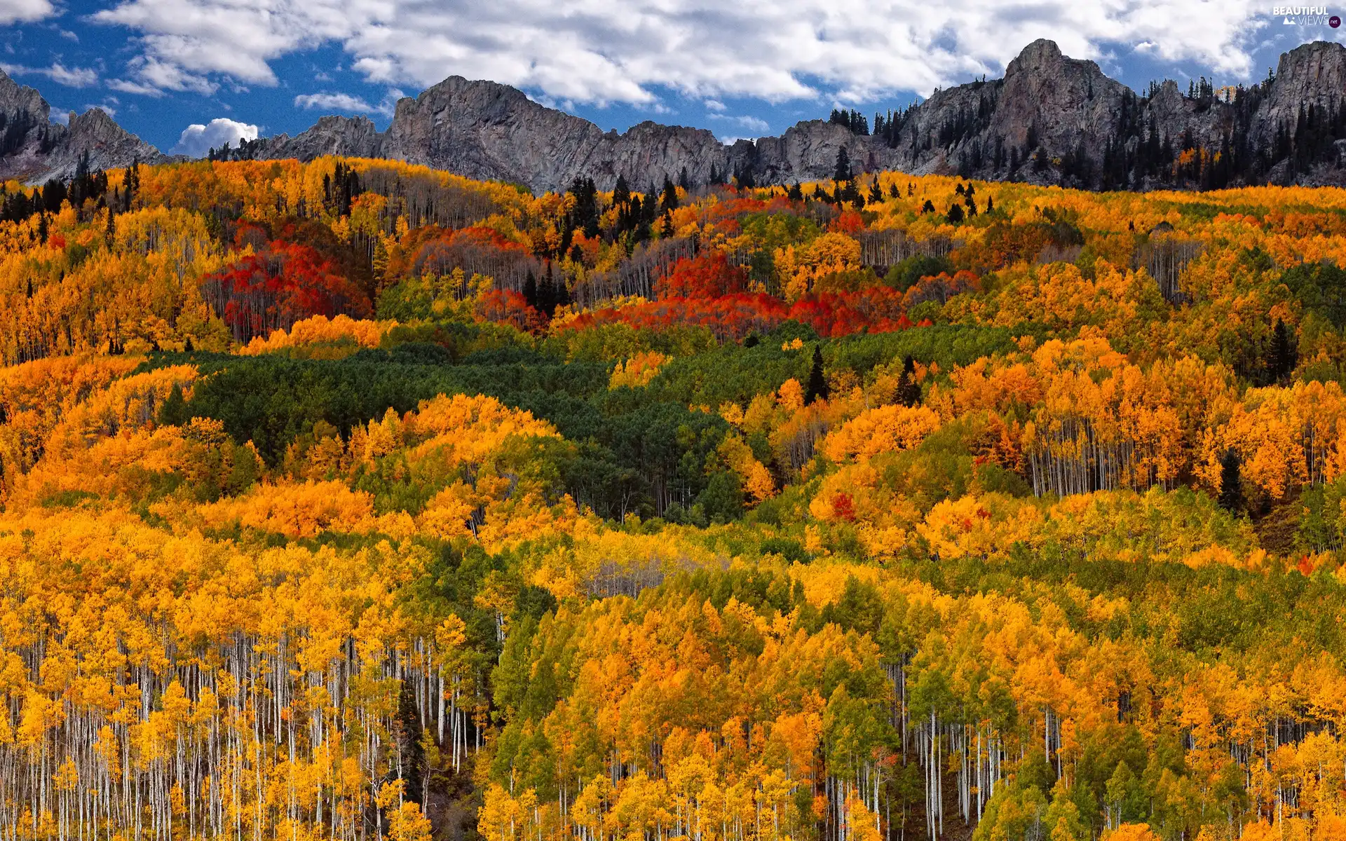 autumn, Mountains, woods