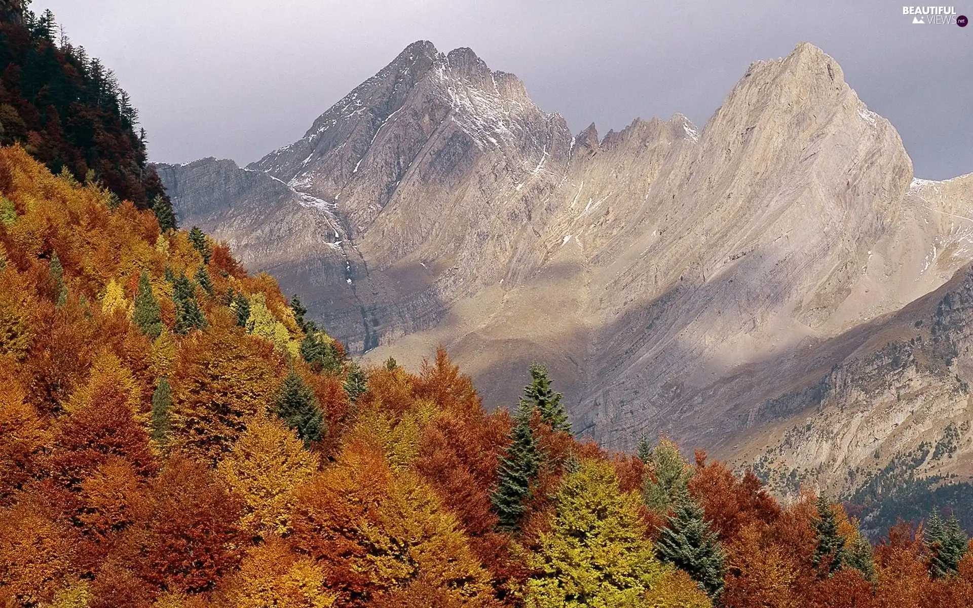 autumn, Mountains, woods