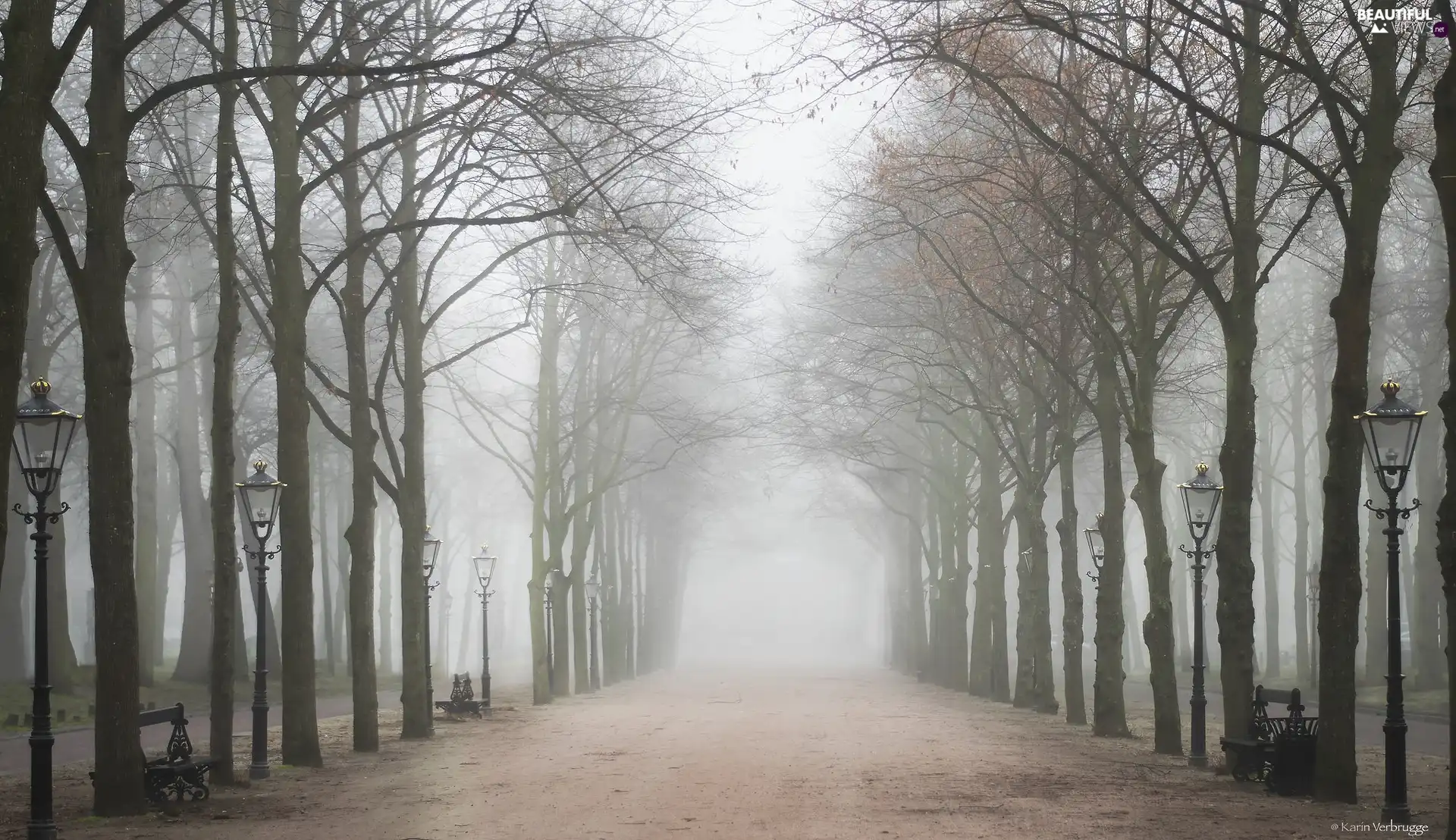 Fog, trees, lanterns, viewes, bench, lane, Park, Avenues