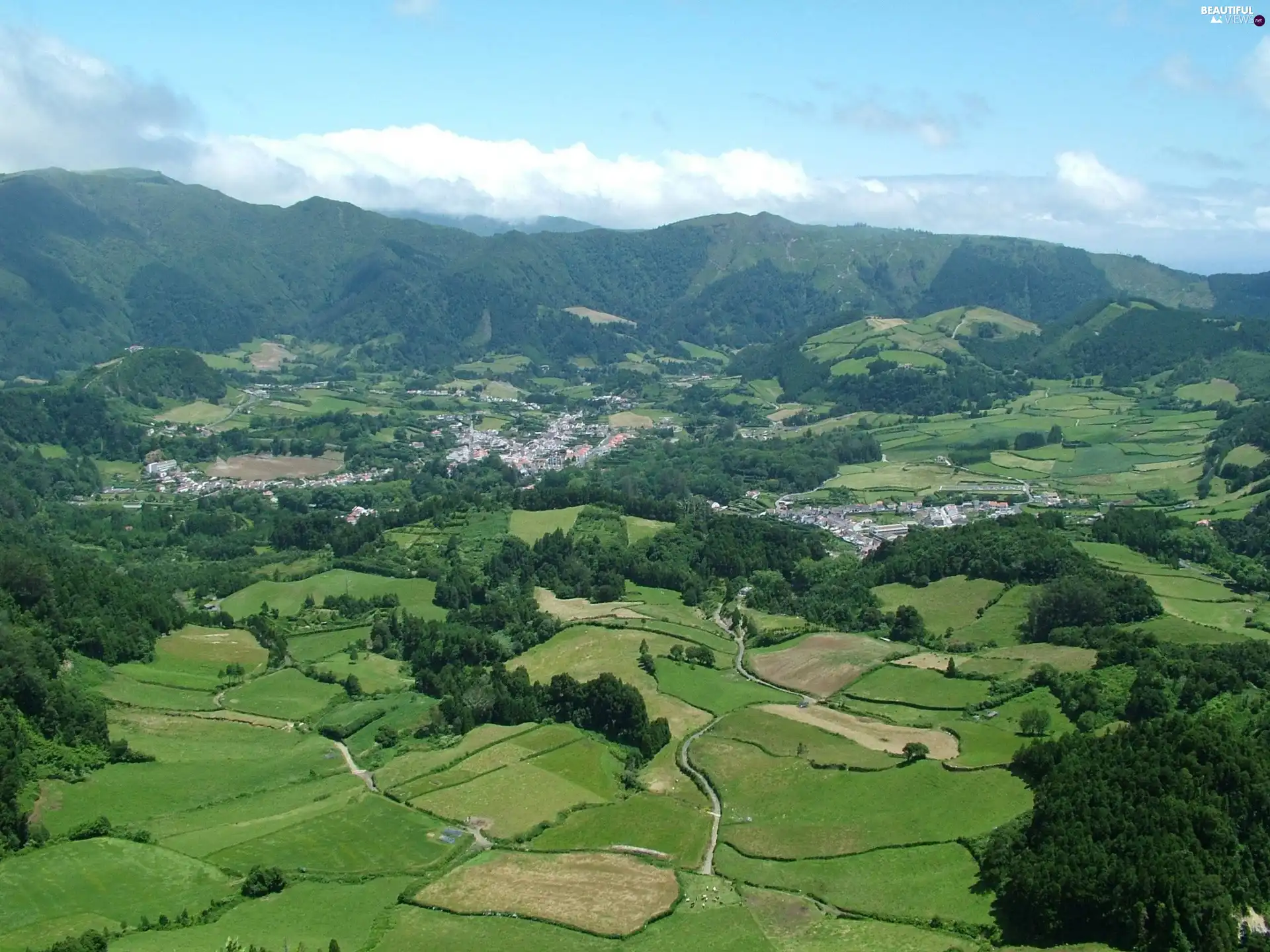 woods, field, Azores, Portugal, Houses, cultivated