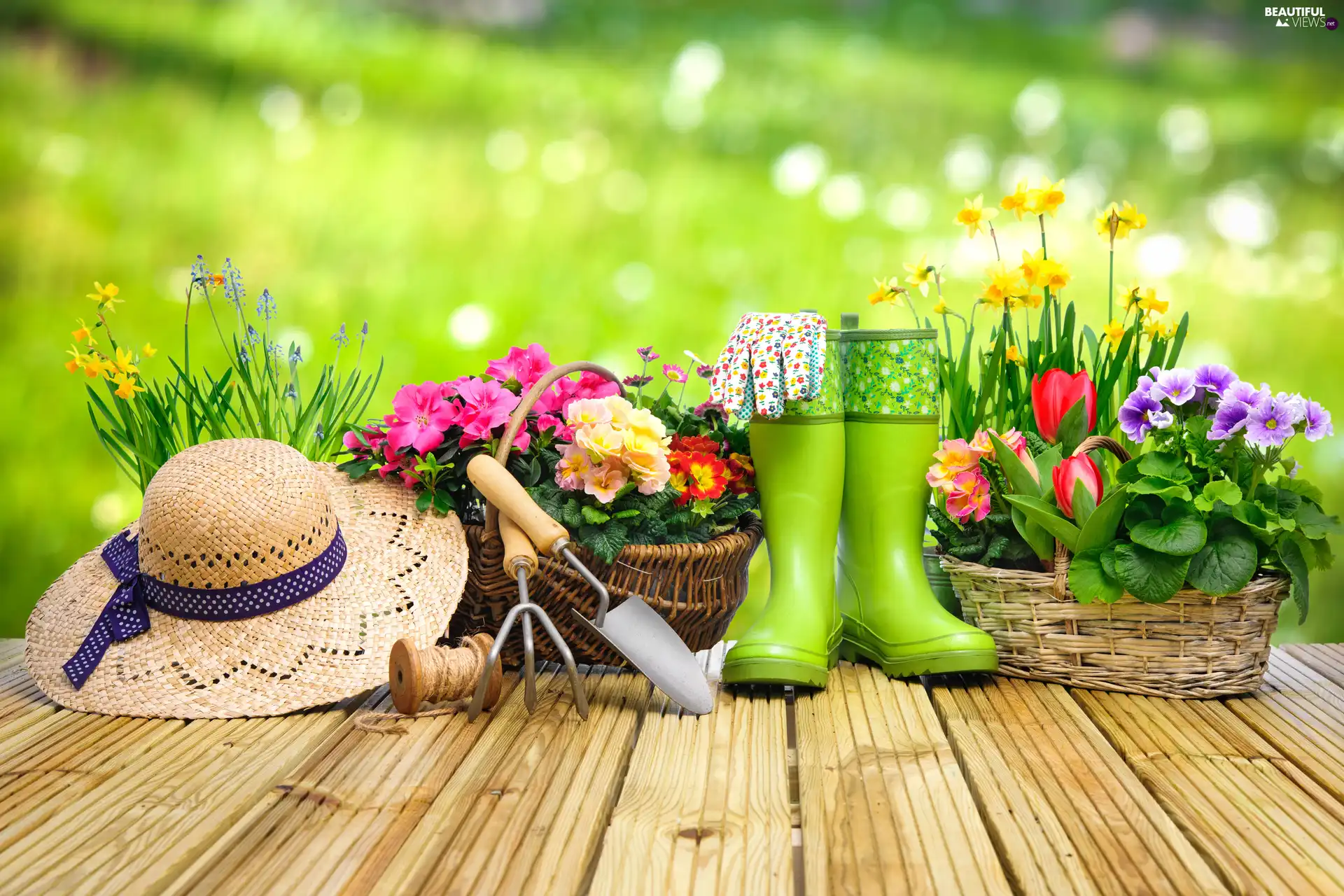 podium, primroses, Baskets, Supplies, Hat, Flowers, Two cars, blurry background, tools, wellingtons