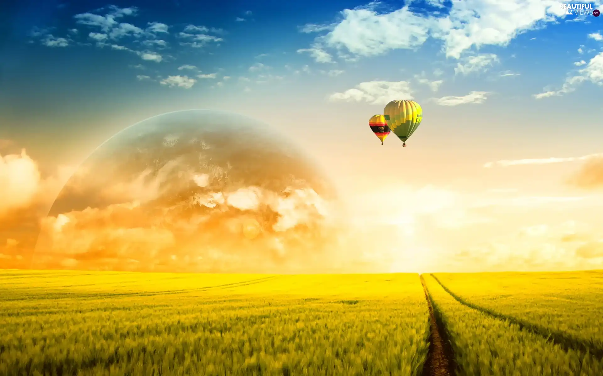 west, field, Balloons, sun