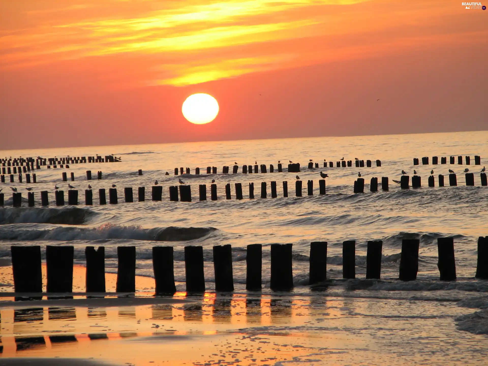 Baltic, Dzwiżyno, sun, by, west