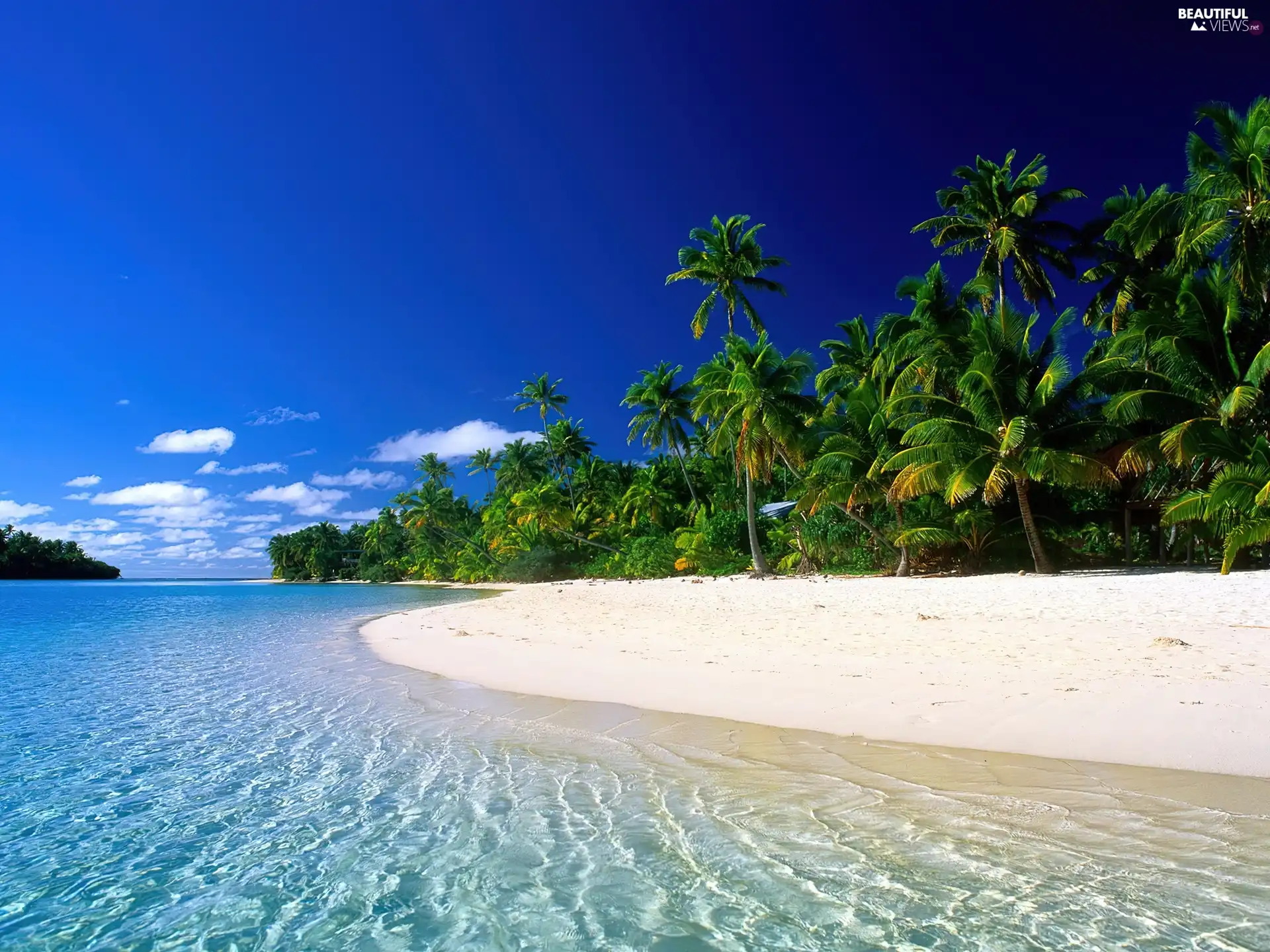 Palms, Cook Islands, Beaches