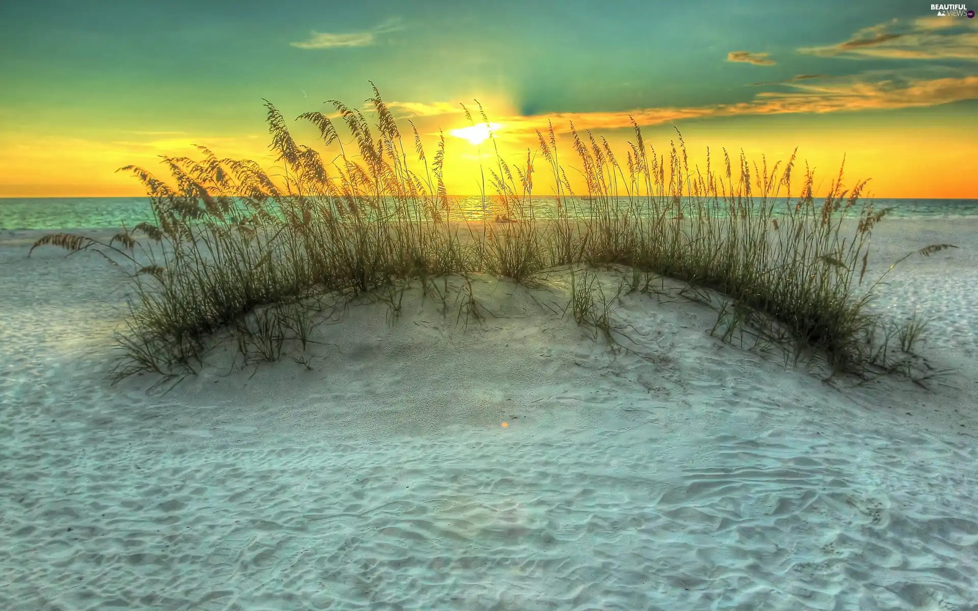 Beaches, grass, sun, sea, west