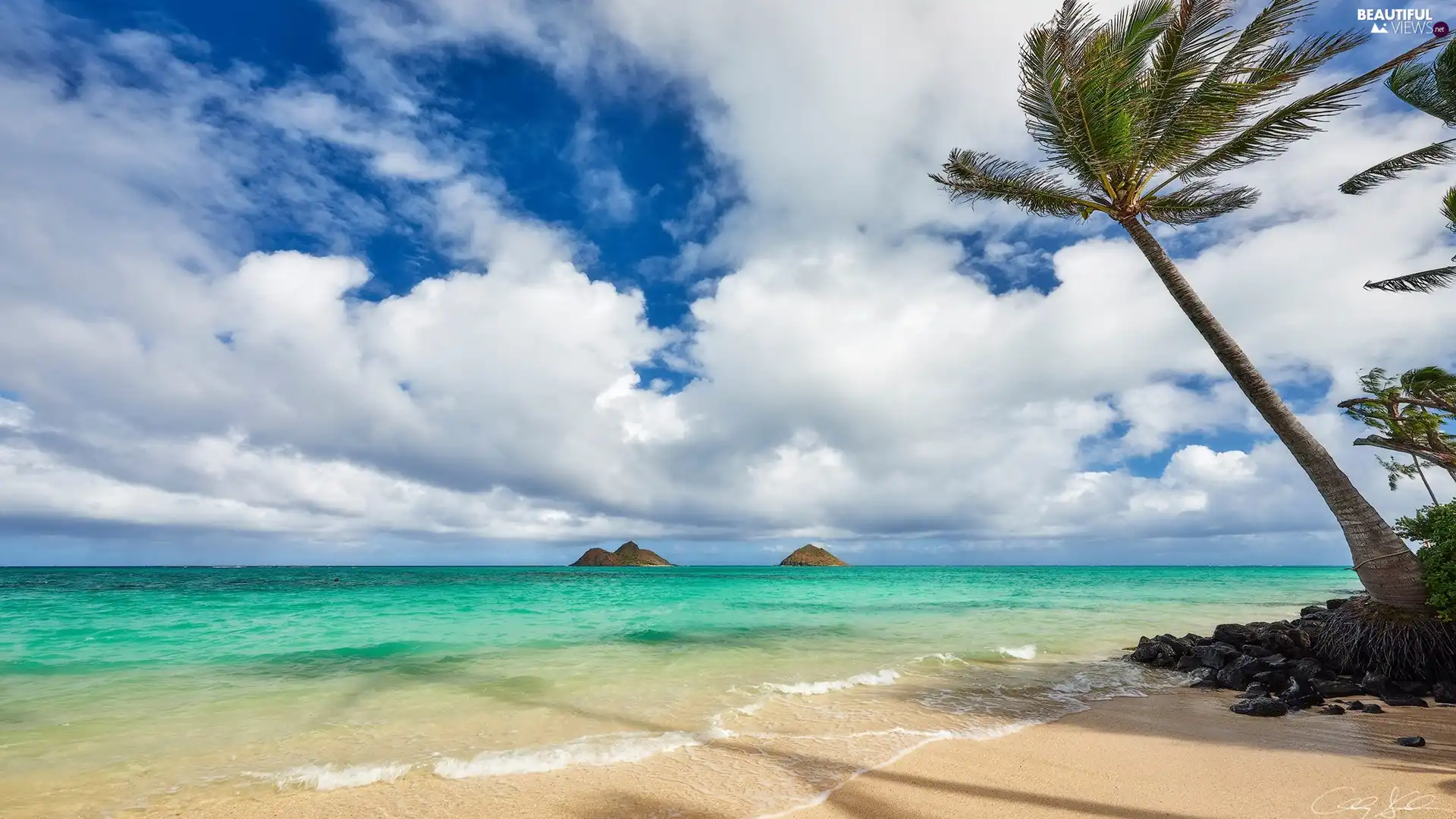 Beaches, Aloha State Hawaje, Palms, clouds, sea, Maui Island