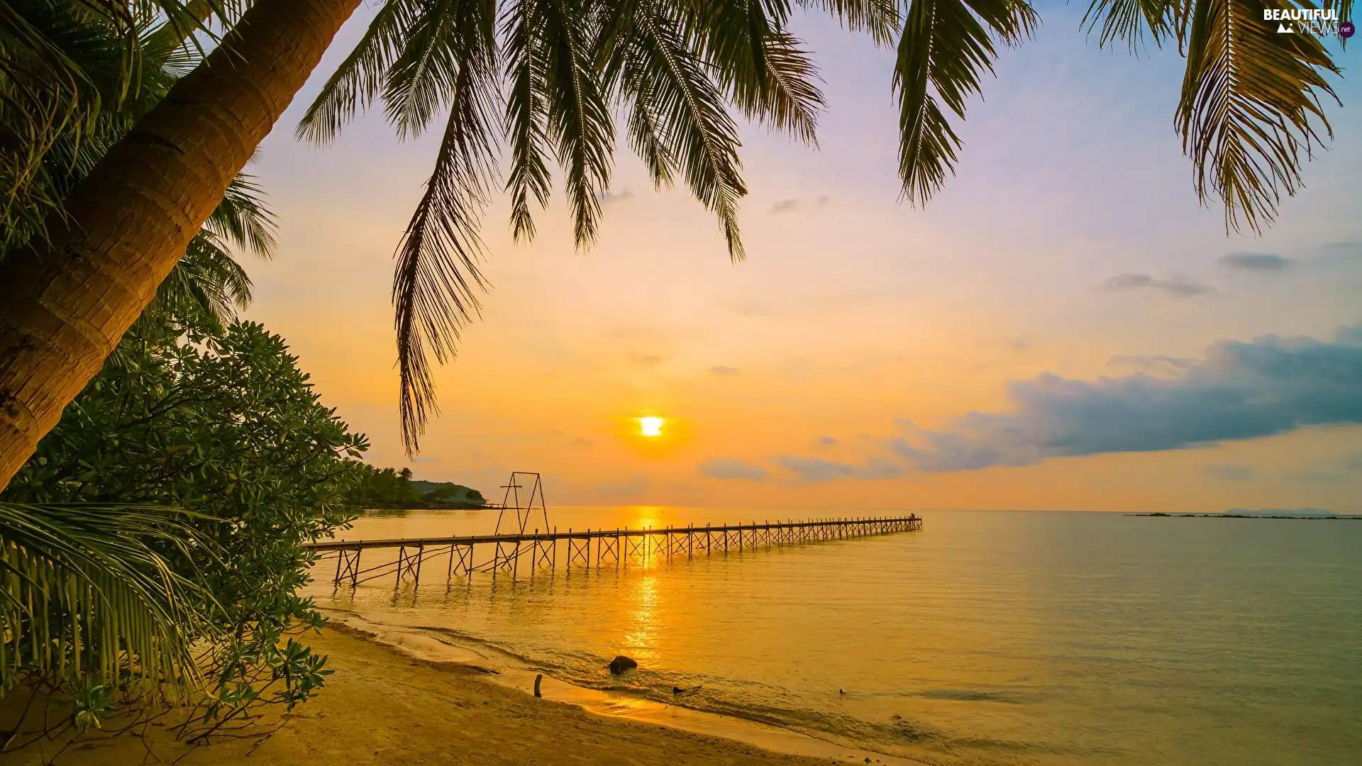 Palms, pier, sea, Beaches, Great Sunsets