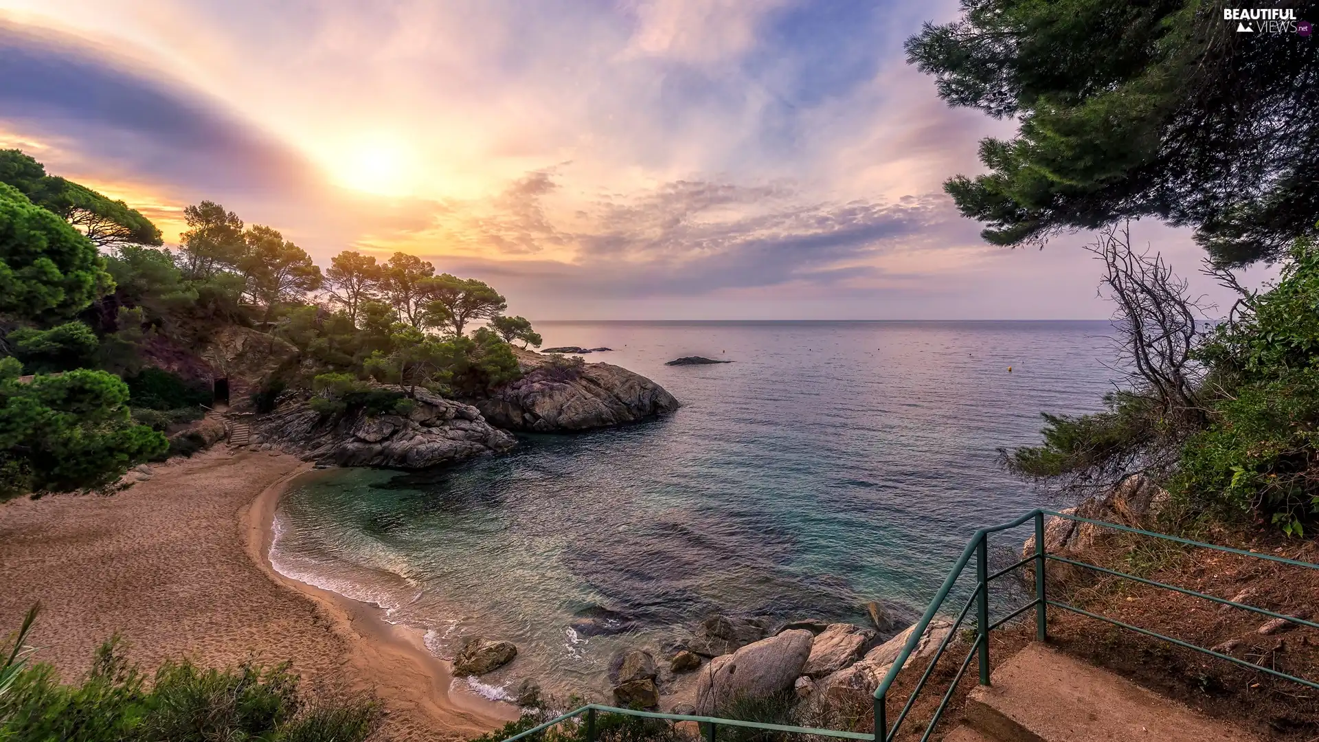 rocks, coast, viewes, Beaches, sea, trees, Sunrise