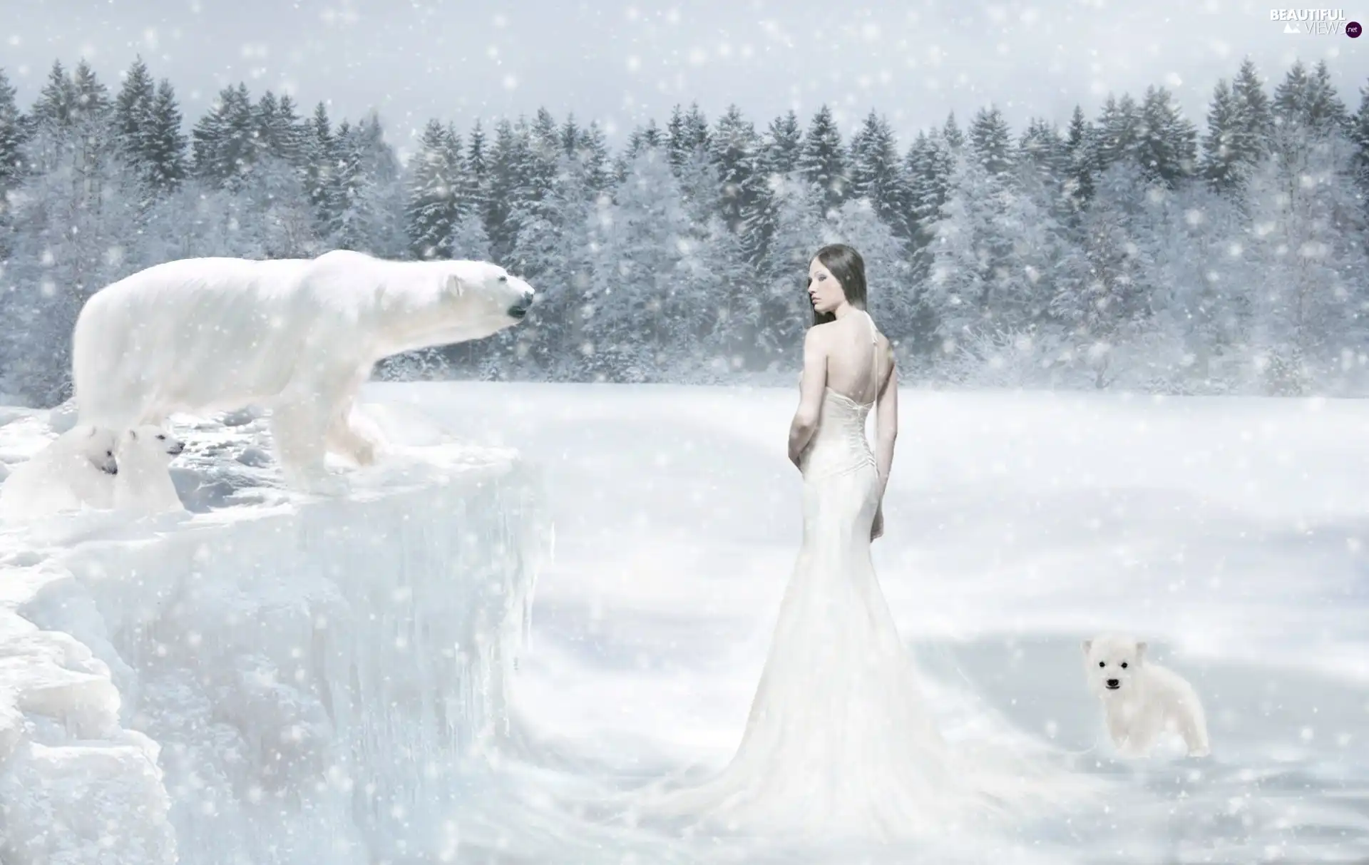 Women, White, bears, winter