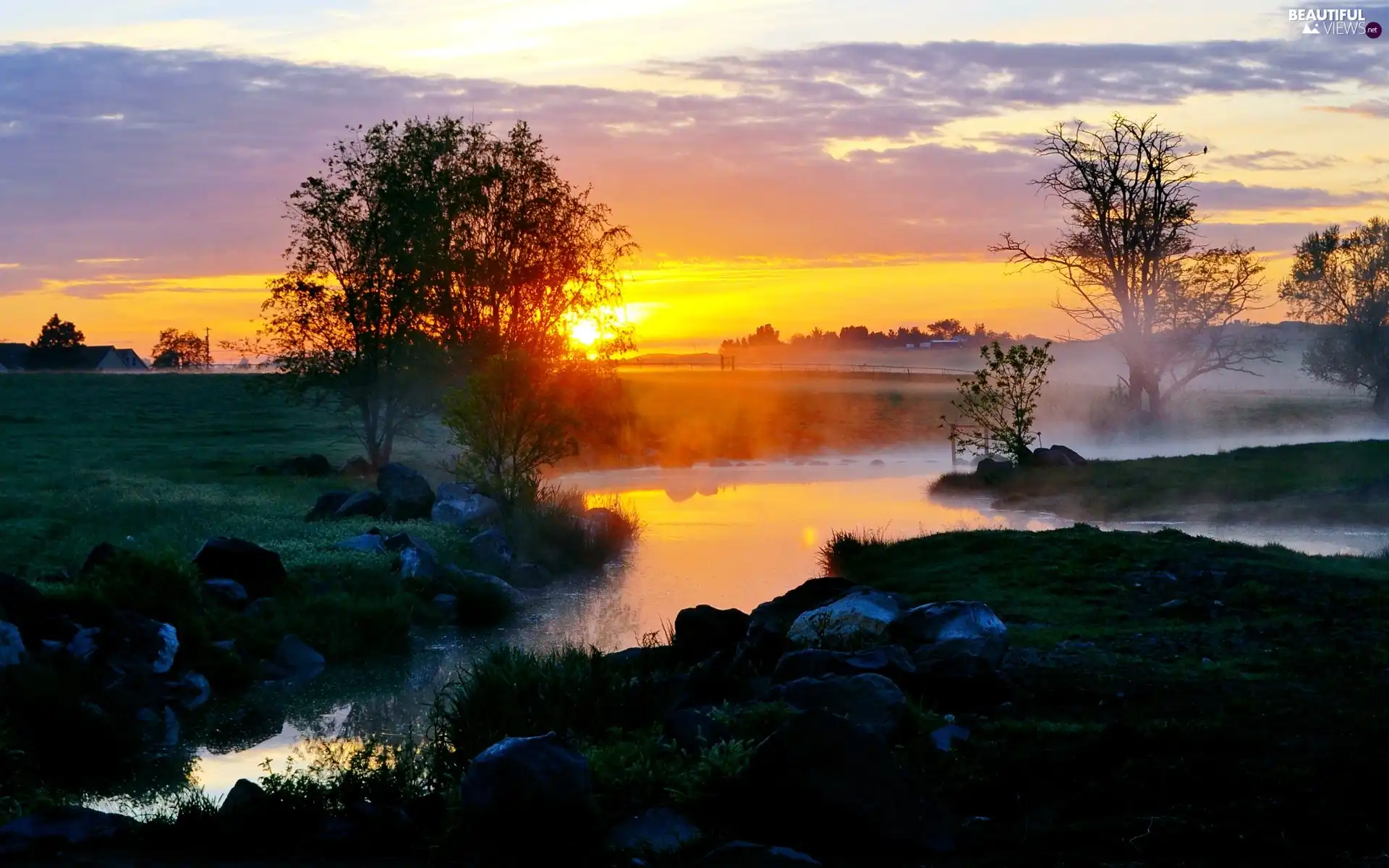 viewes, Fog, west, trees, River, Beatyfull, sun