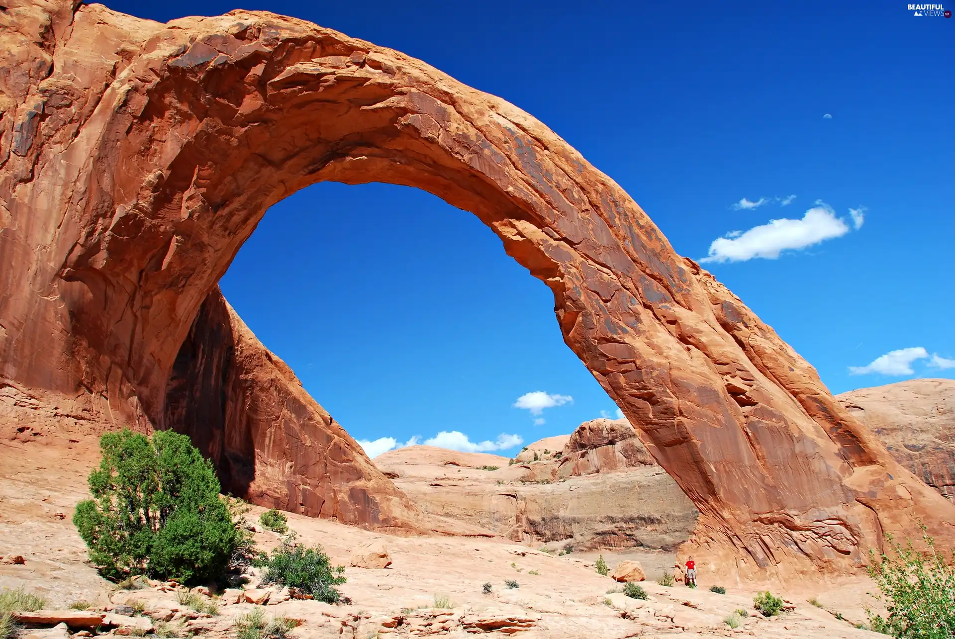 Desert, formations, bed-rock
