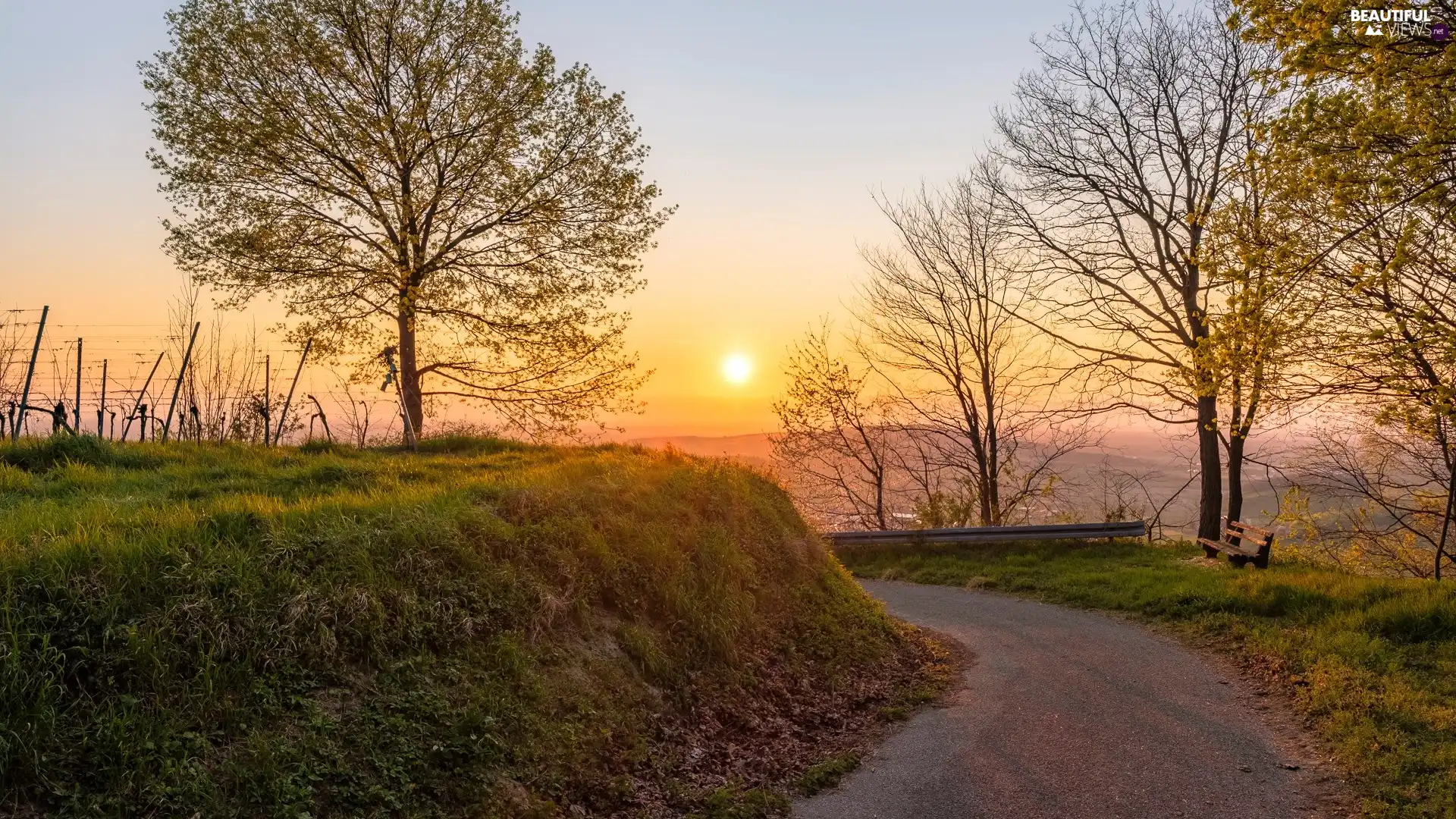 Bench, trees, The Hills, viewes, Way, autumn, Great Sunsets