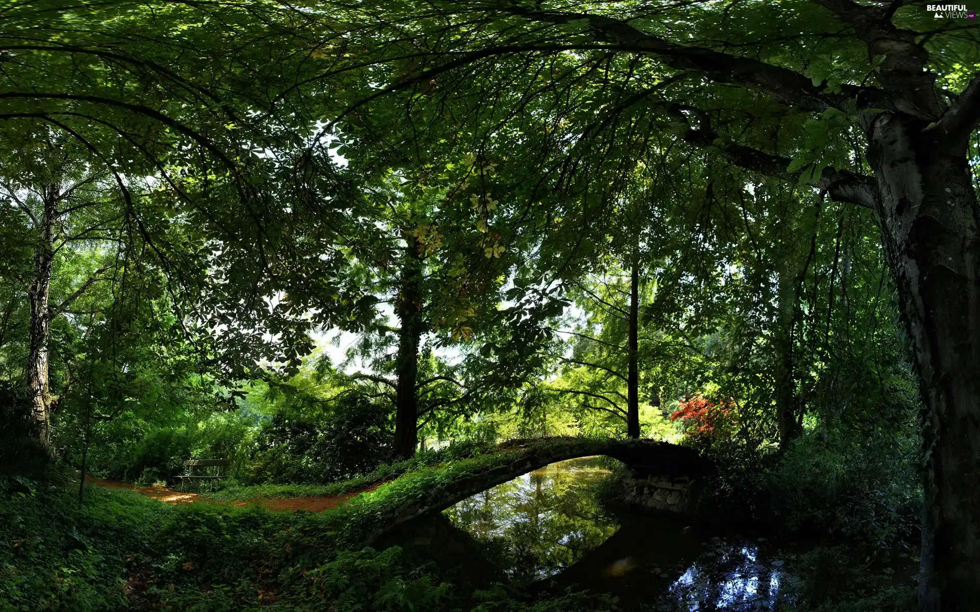 Bench, Park, bridges