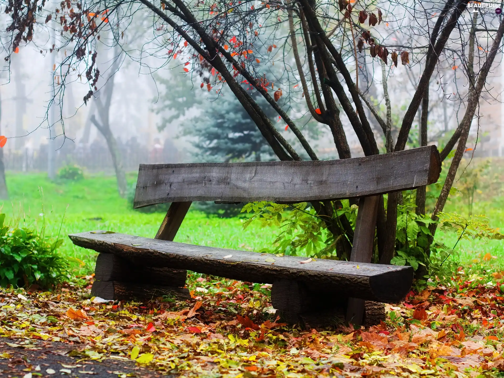 hazy, Park, Bench, Autumn