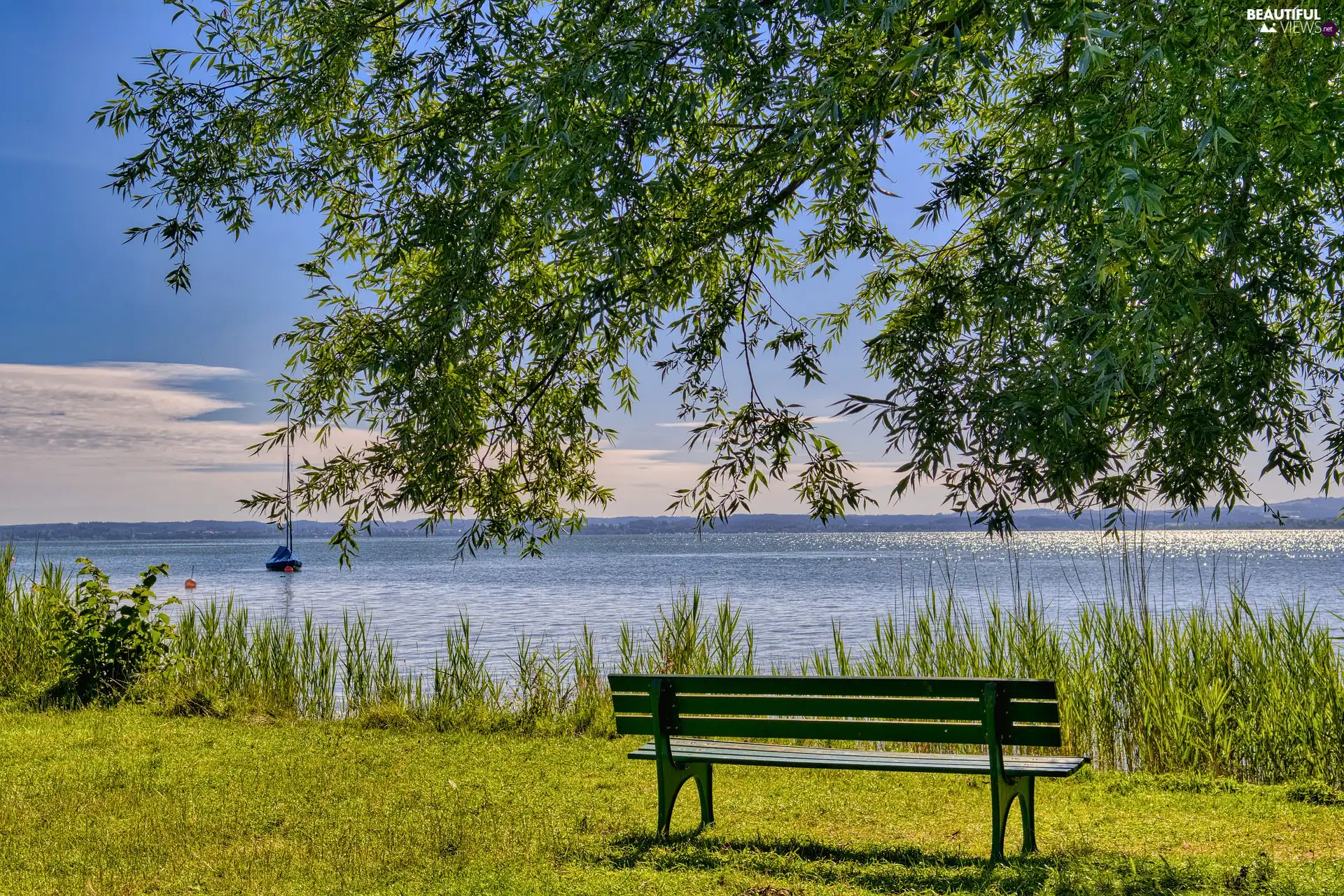 lake, trees, Boat, Bench