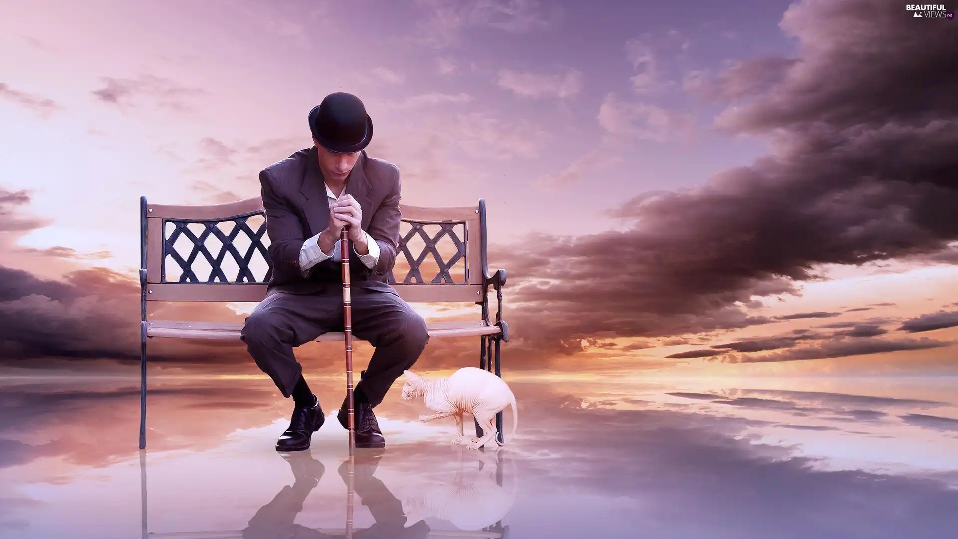 Bench, Sky, staff, clouds, fantasy, a man, Sphynx Cat