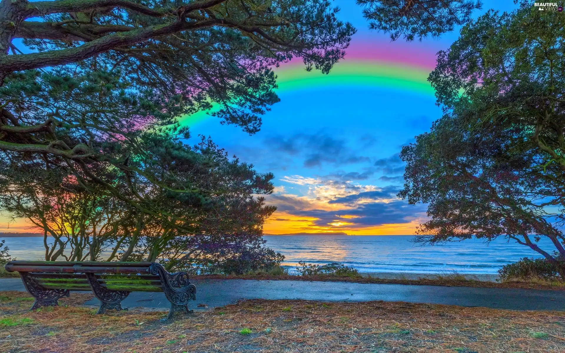 Bench, sea, trees, Great Rainbows, Great Sunsets, Path, viewes