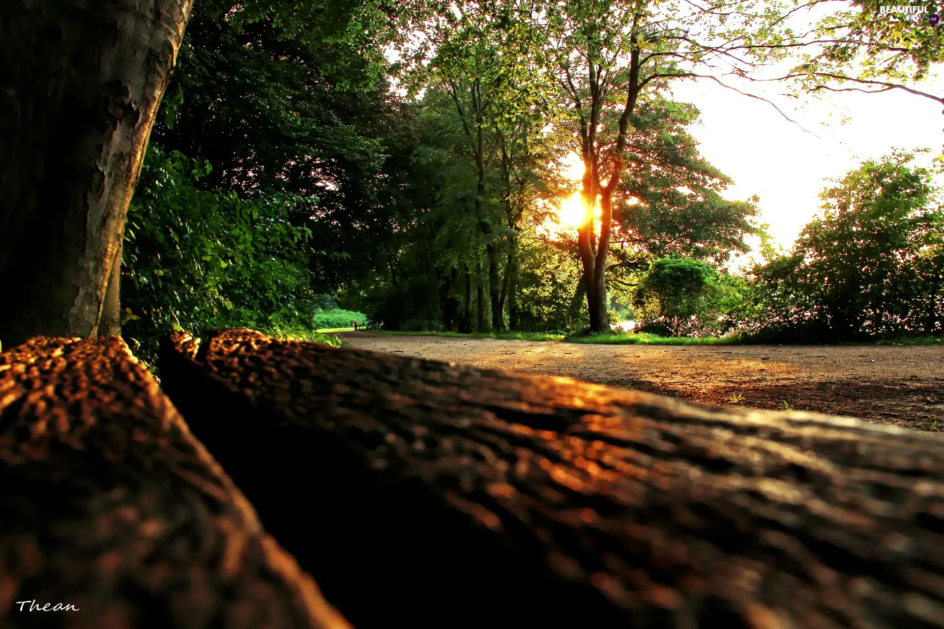 west, Park, Bench, sun