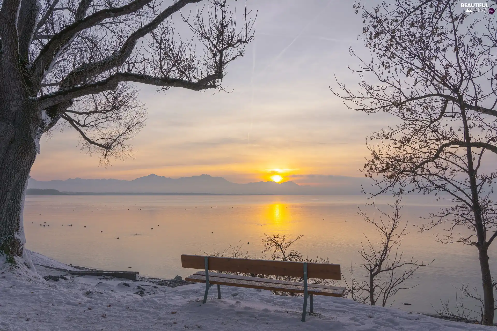 trees, Great Sunsets, Bench, lake, winter