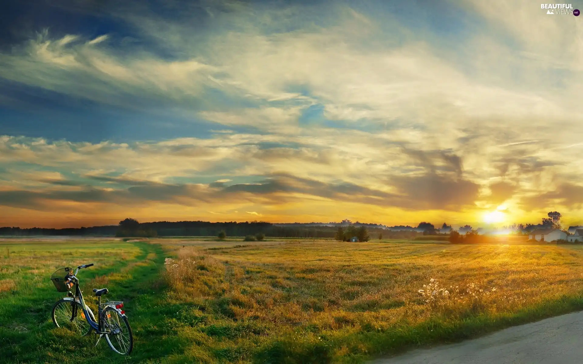 woods, field, east, Way, Meadow, Bike, sun