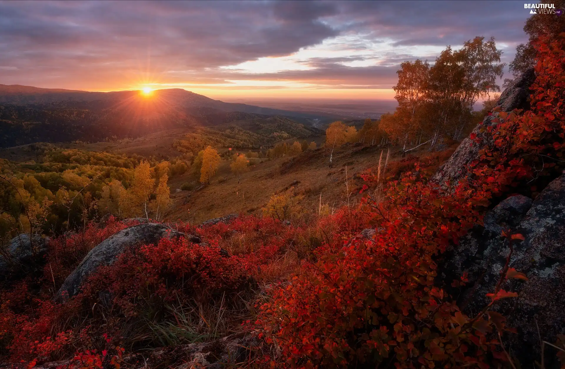 Great Sunsets, Altai Mountains, autumn, trees, Altai Republic, Russia, birch, rocks, viewes