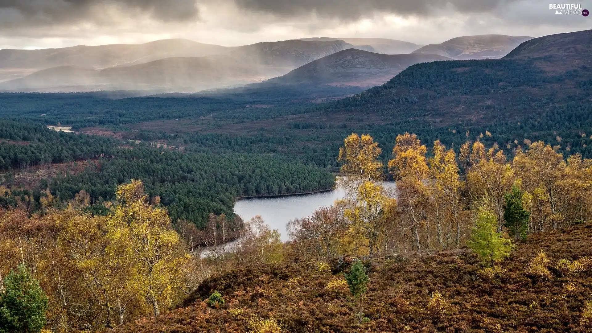 River, autumn, viewes, birch, trees, Mountains